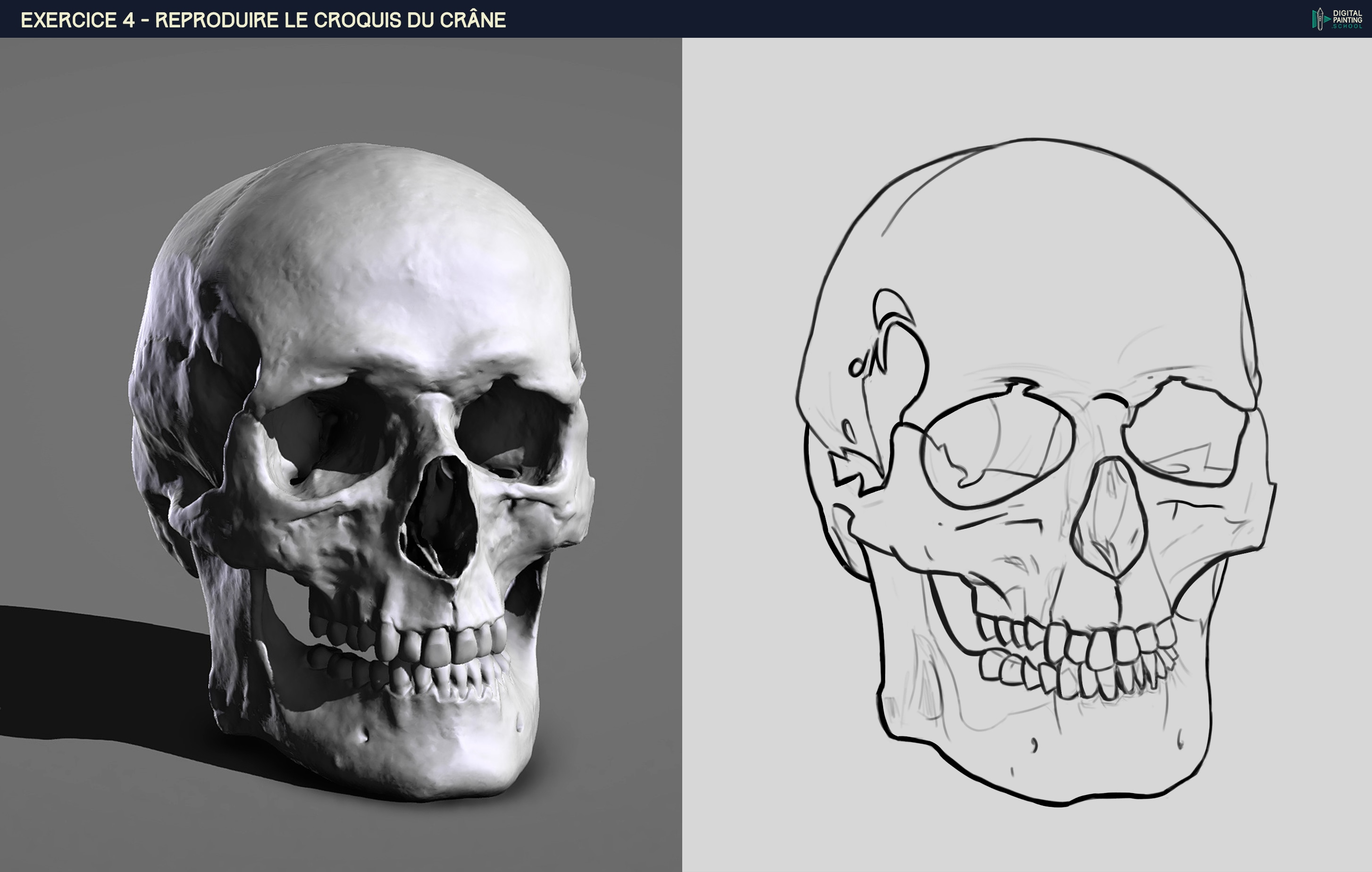 Tous les exercices de la Partie 1 du Programme Indispensable par HaptoMai