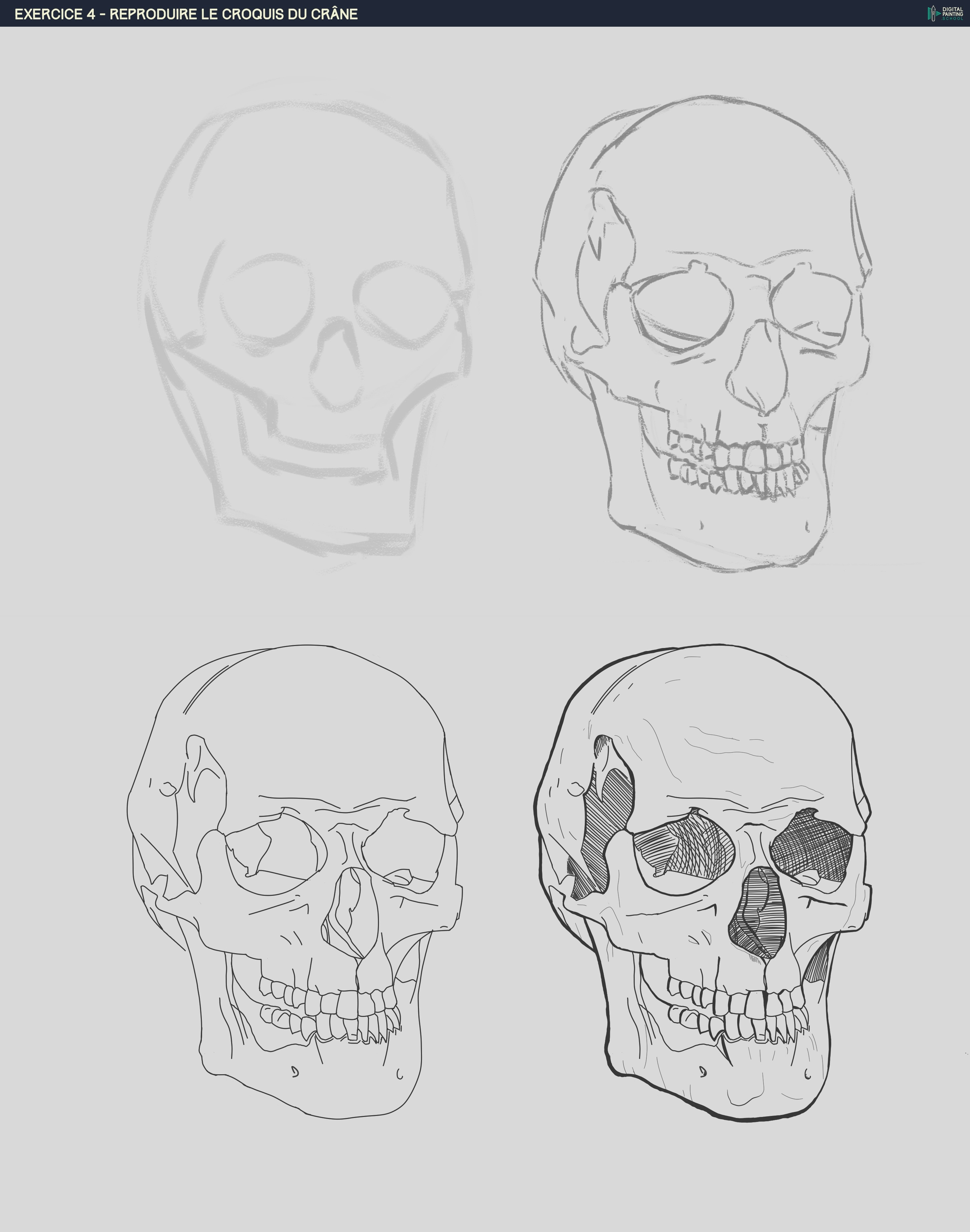 Le crâne par vinceinstudio