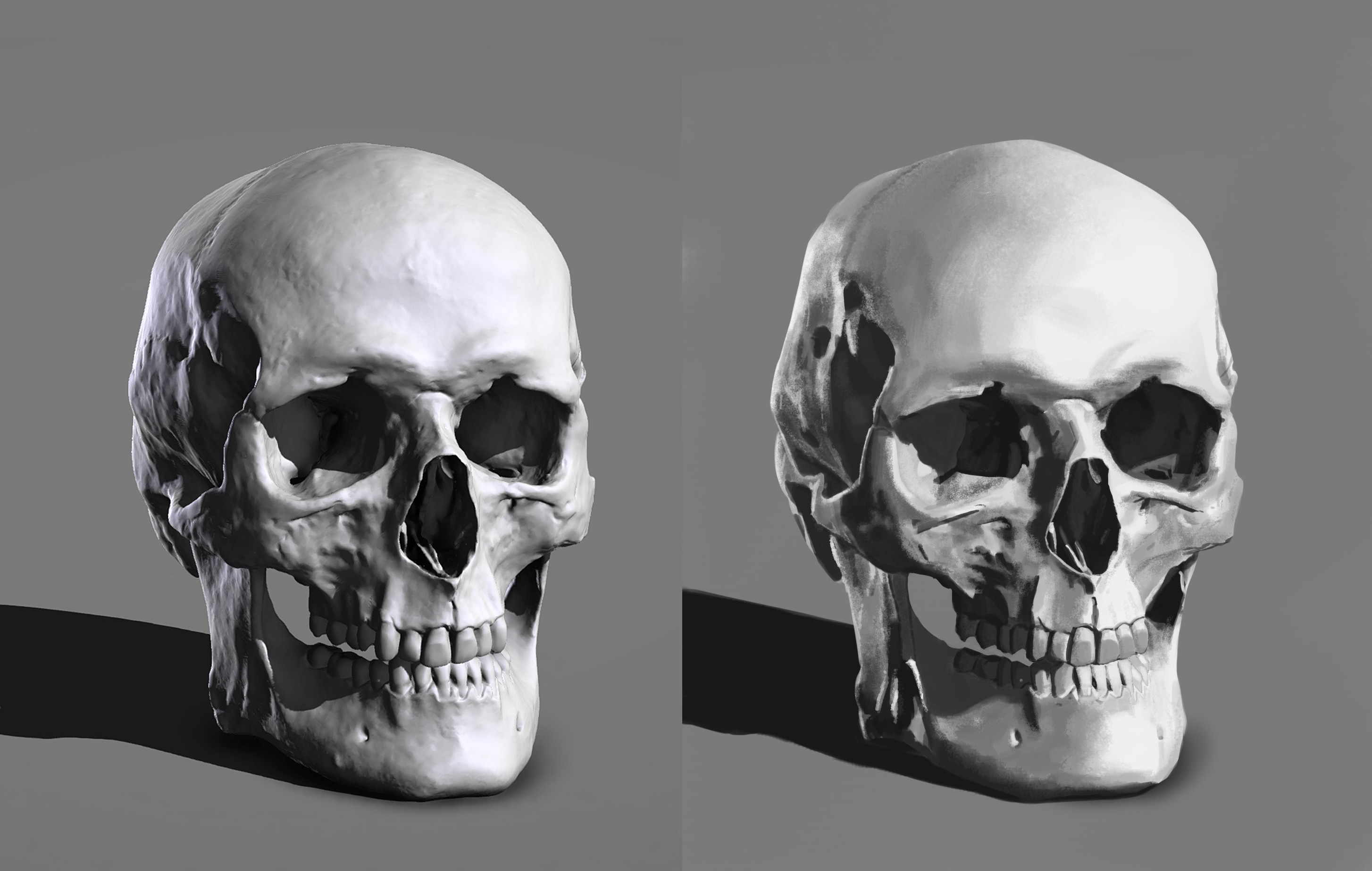 P1-C4-E3 : Valeurs du crâne par RocketRiiku