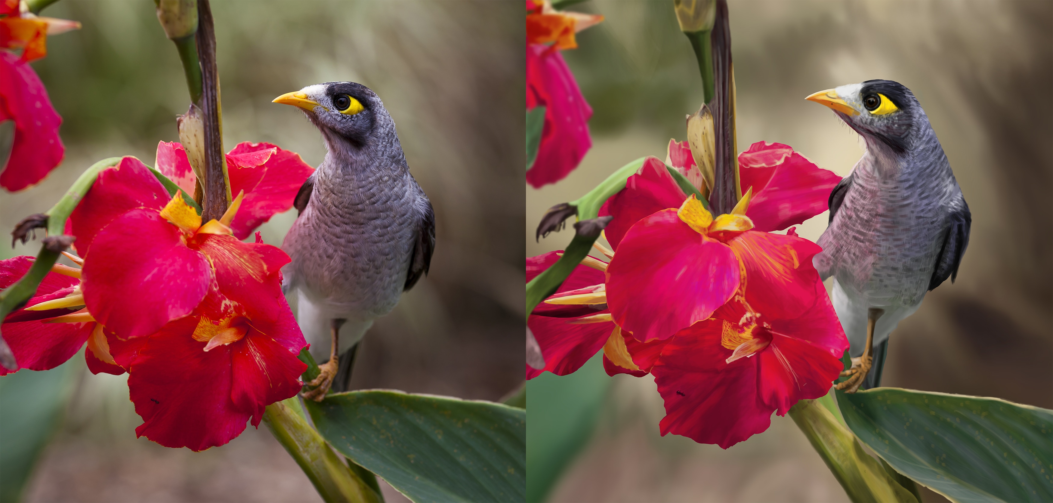 Partie 1 - Chapitre 5 - Exercice 4 - Etude de lumière par Arka
