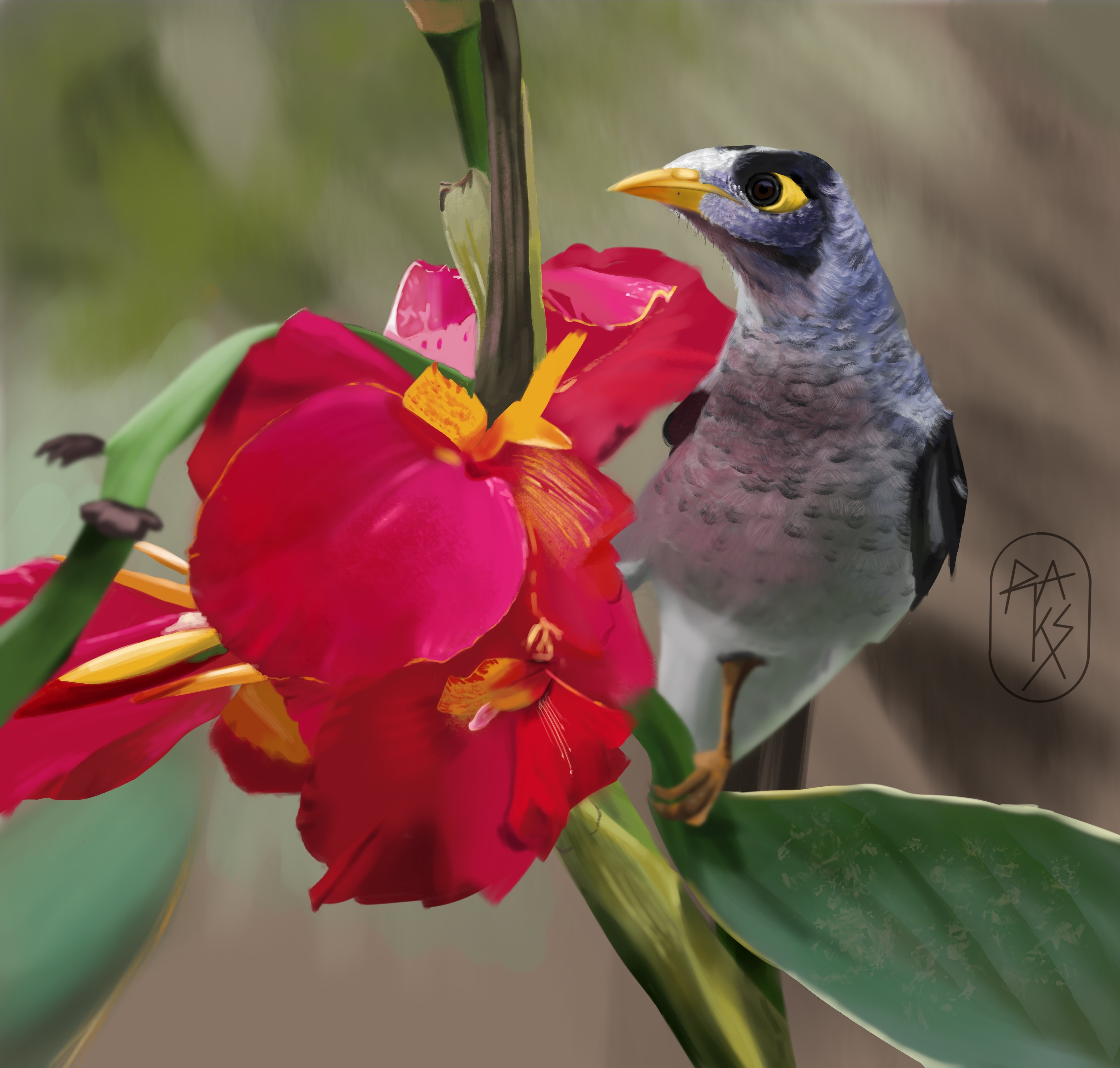 Oiseau et fleur par Raks