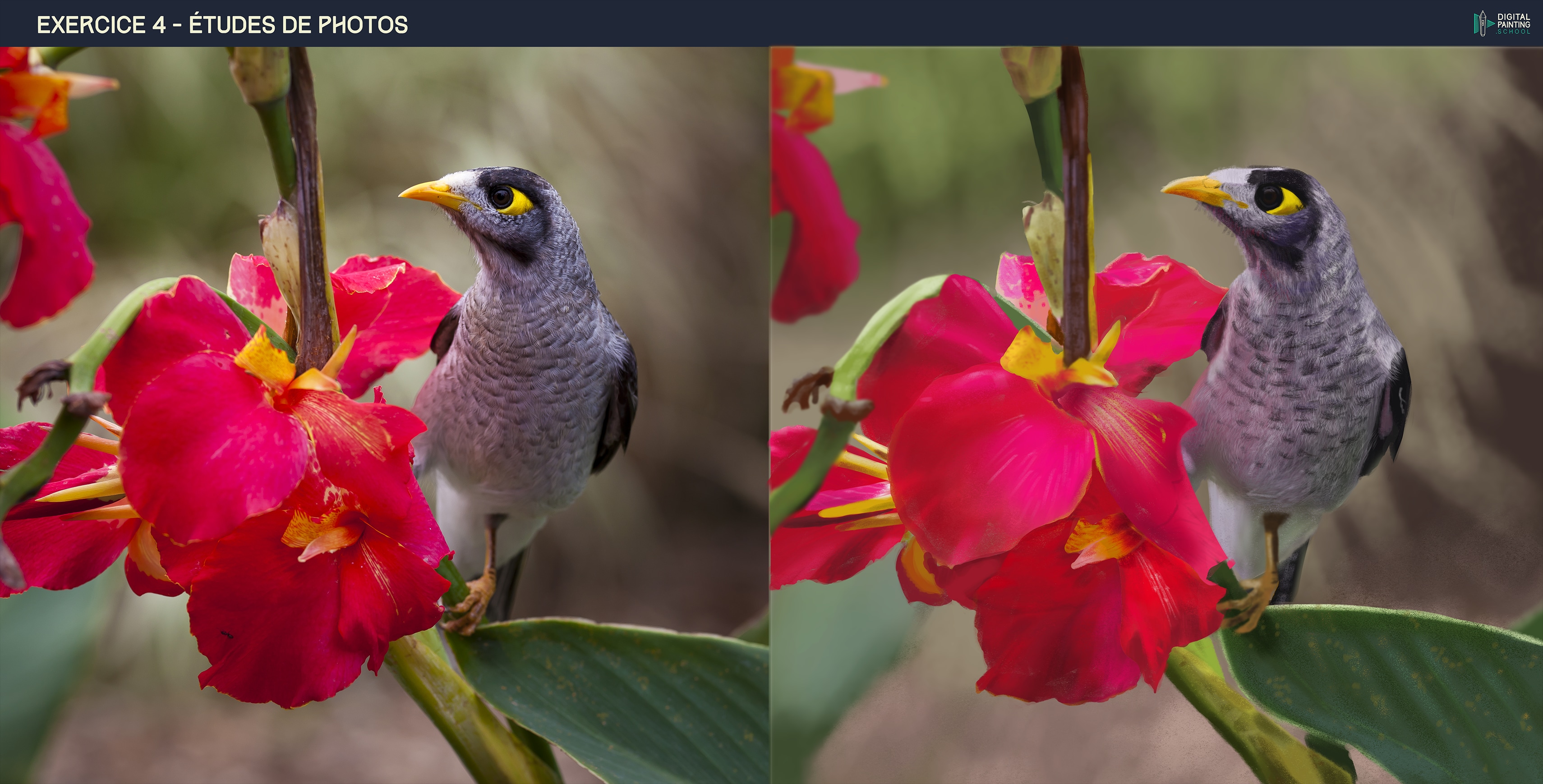 P1-C5-E4 : Etude de l'oiseau et sa fleur par RocketRiiku