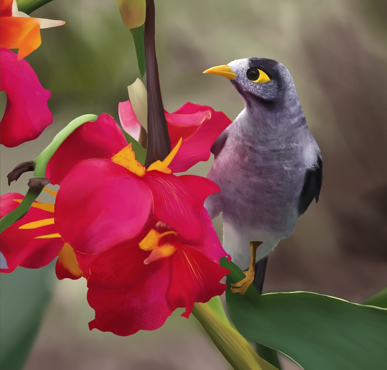 Oiseau & fleur par macandyjr