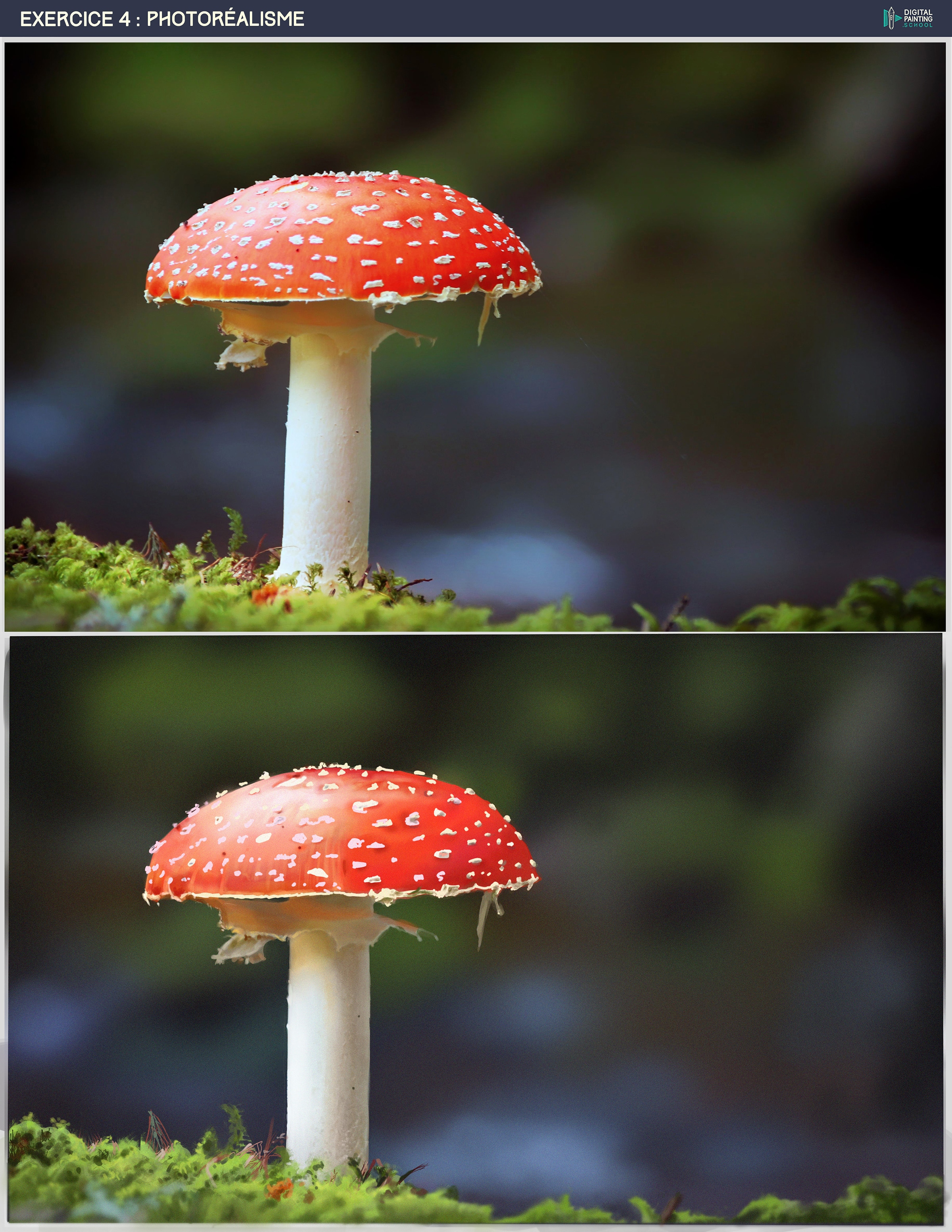 étude photo par Caro