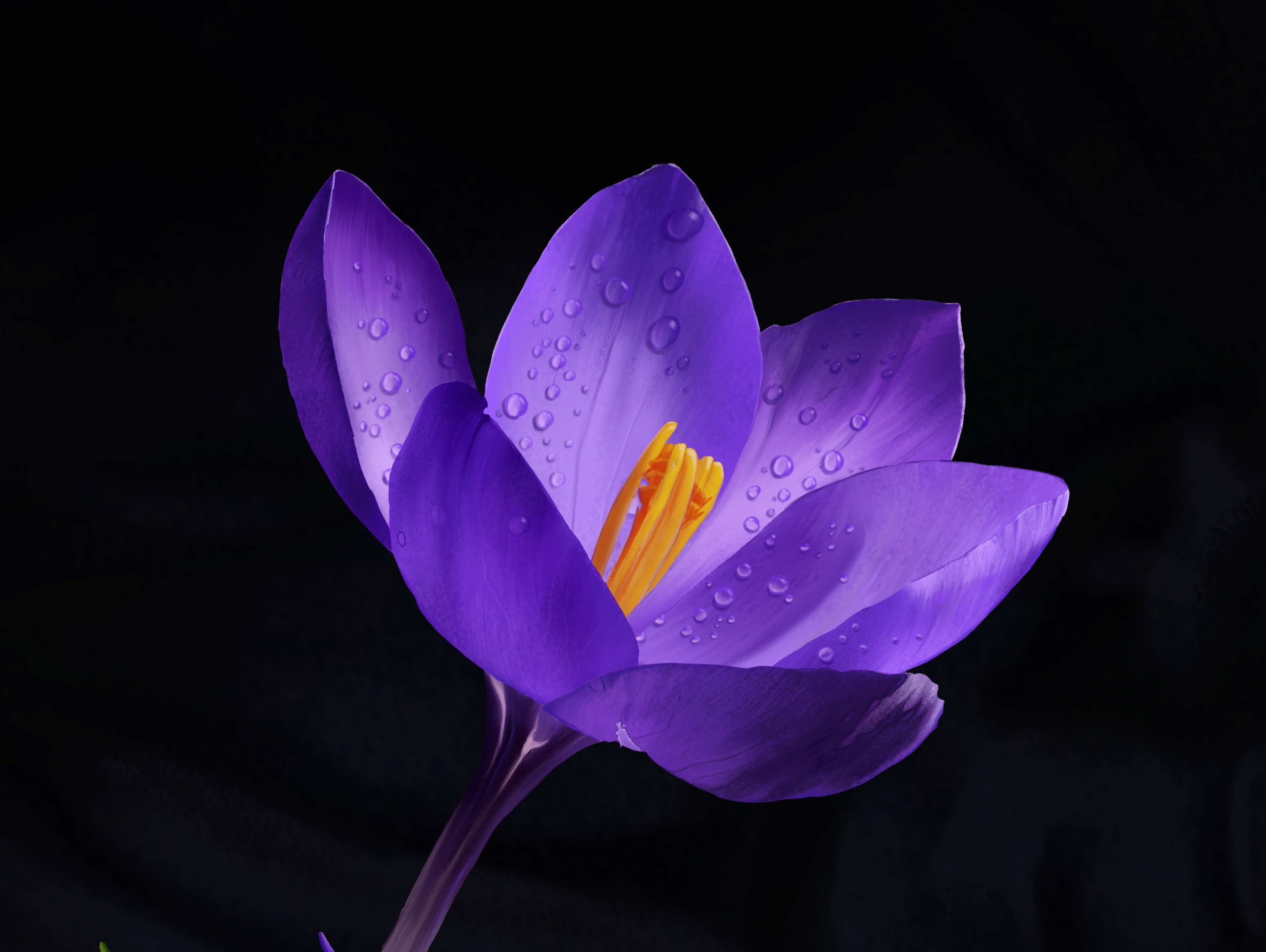 Exercice : Photoréalisme par Angélique