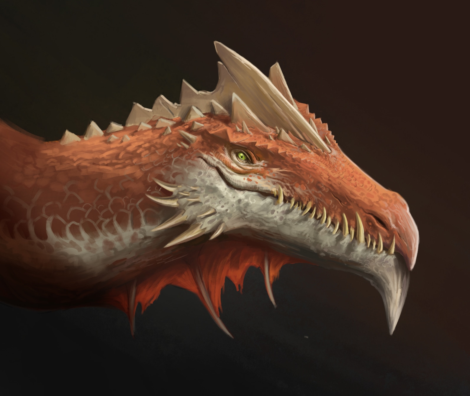 Tête de dragon - Etude par Fusto