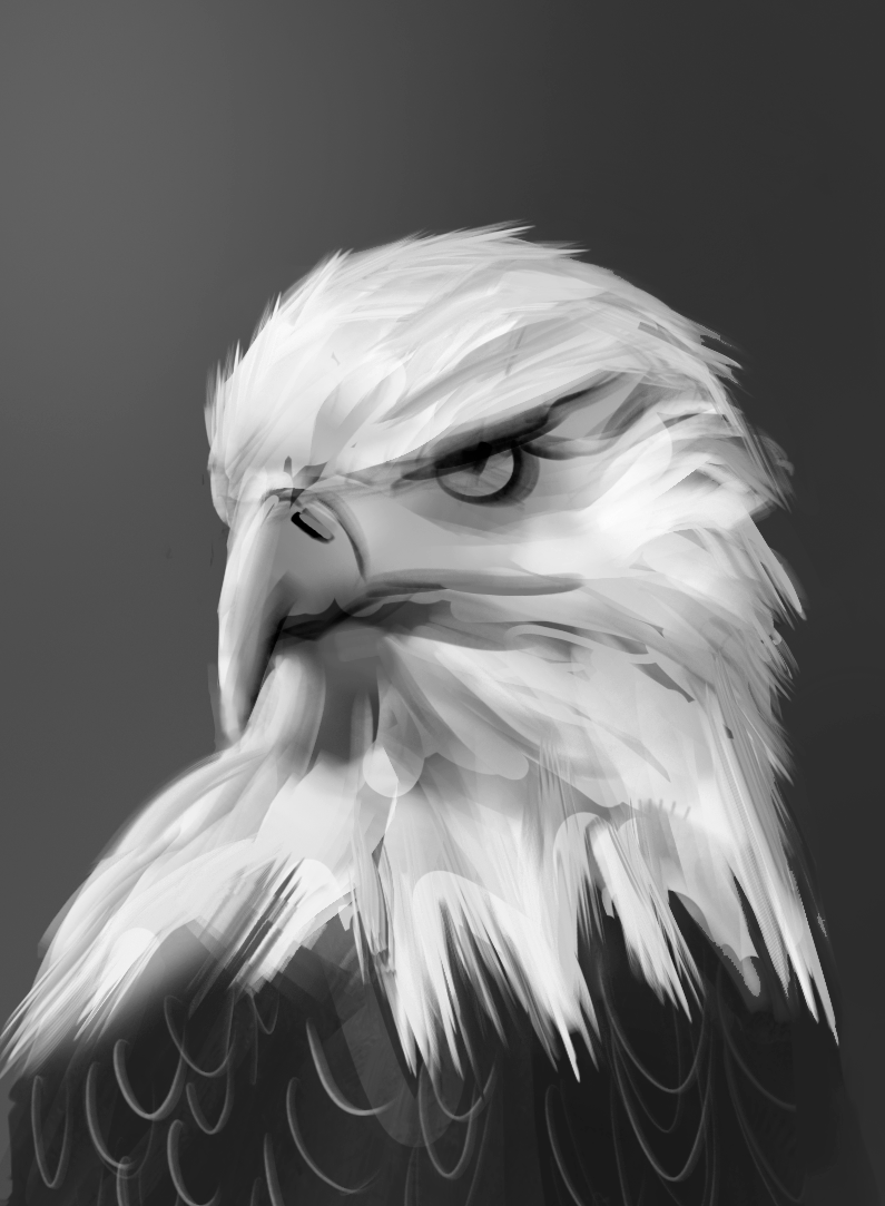 eagle-6345dd86.png