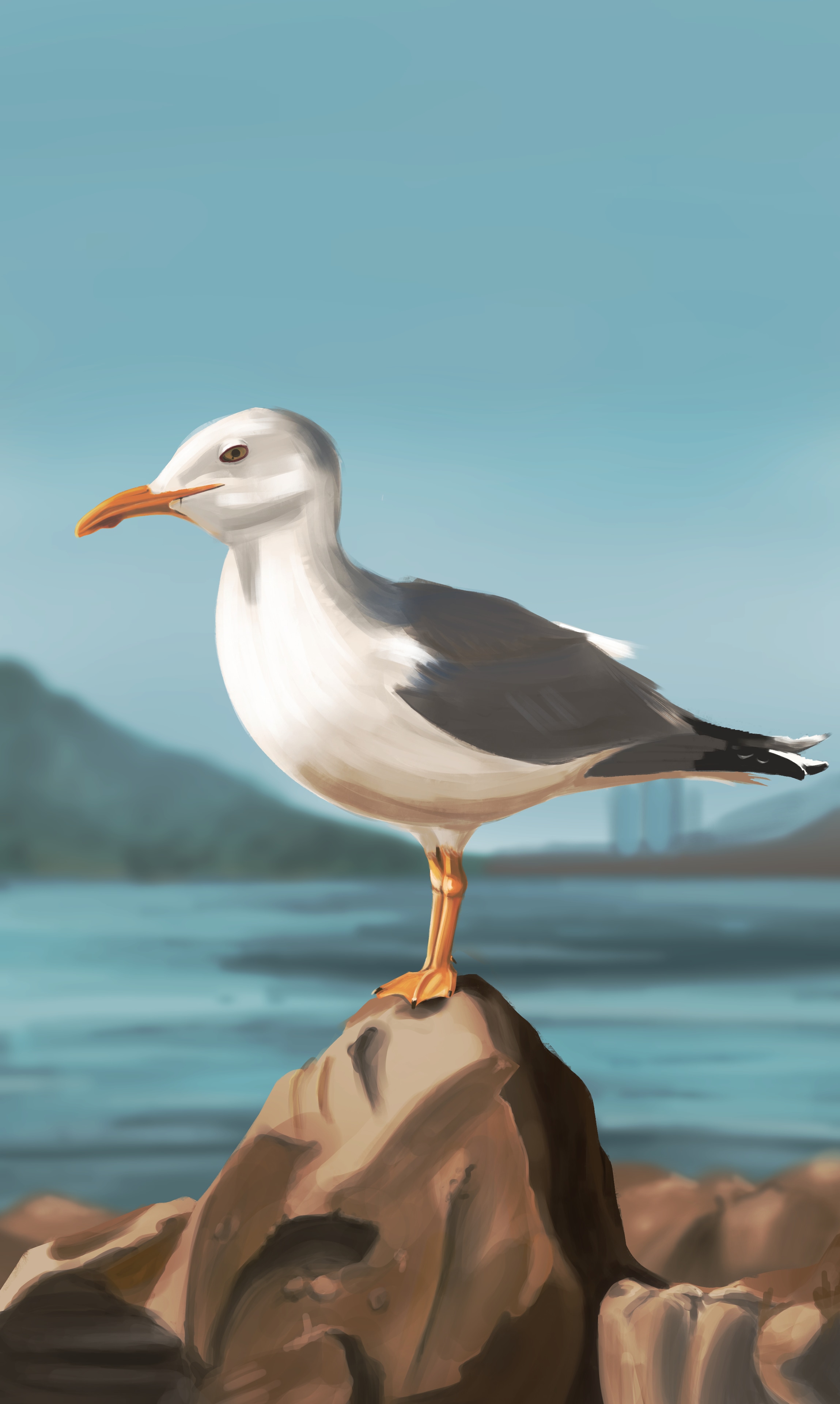 Etude 1 - La Mouette (19_09_2026) par Angelito.lrt