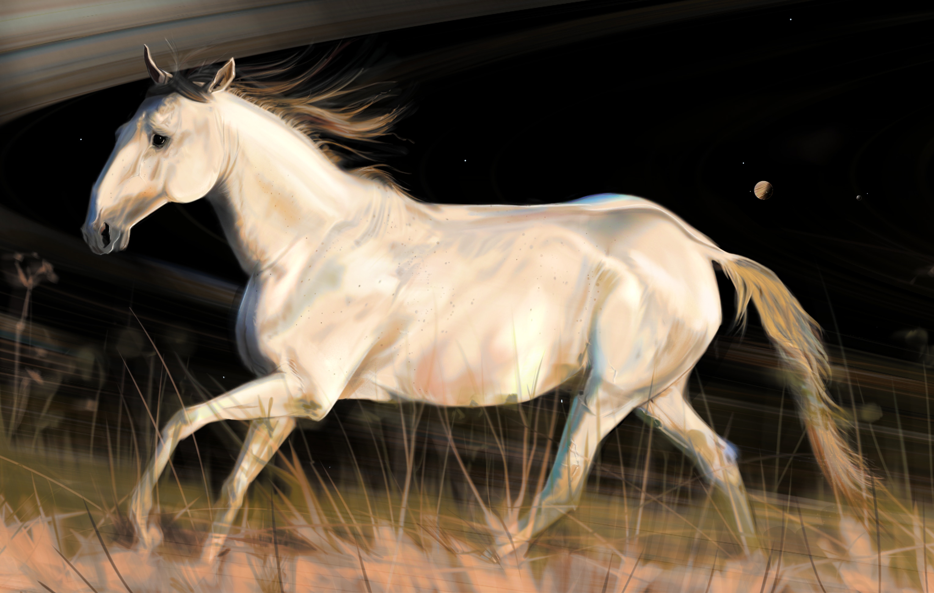 lusitanien par G.M Picsou