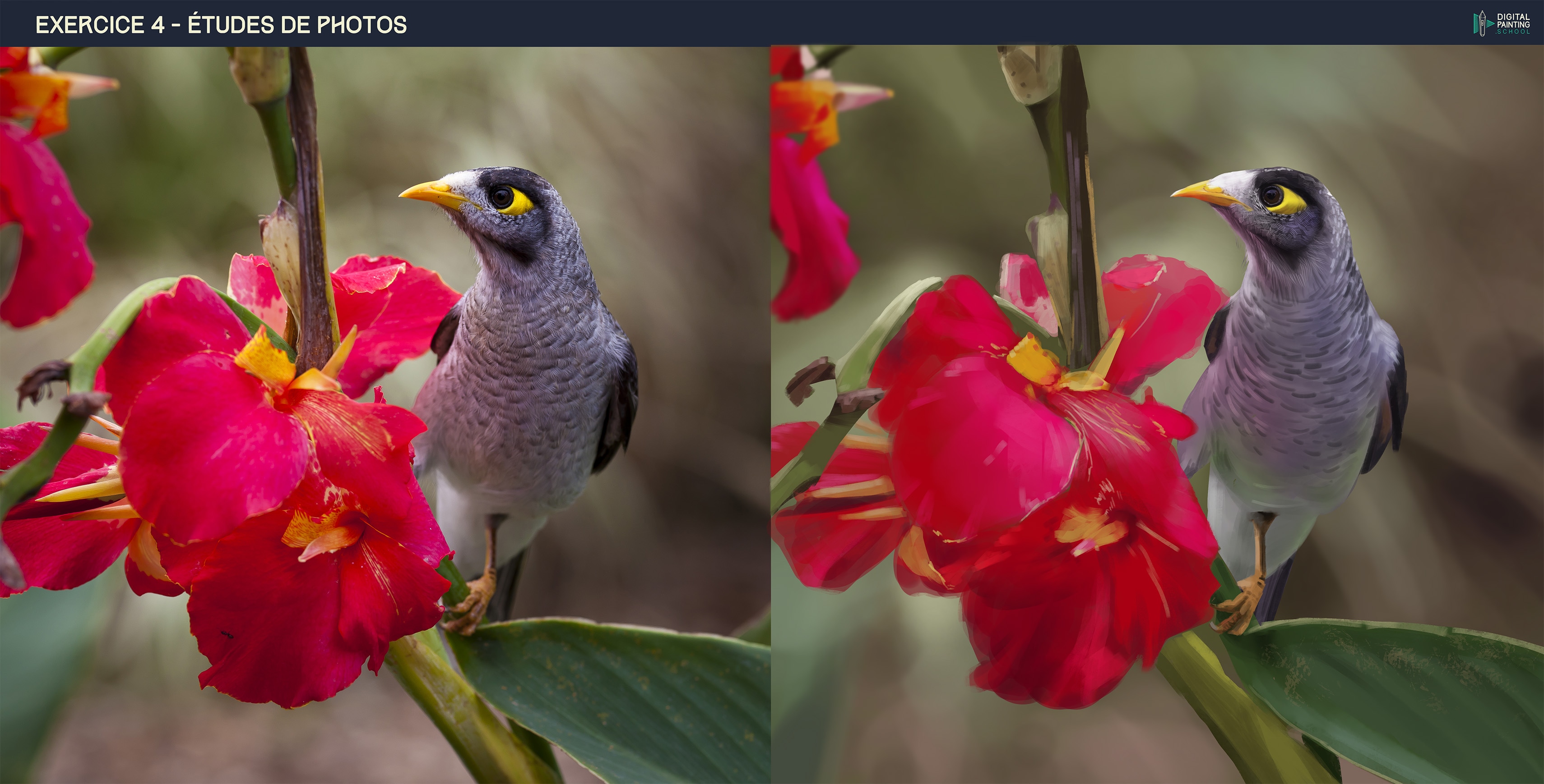 L'oiseau et les fleurs par Hellie