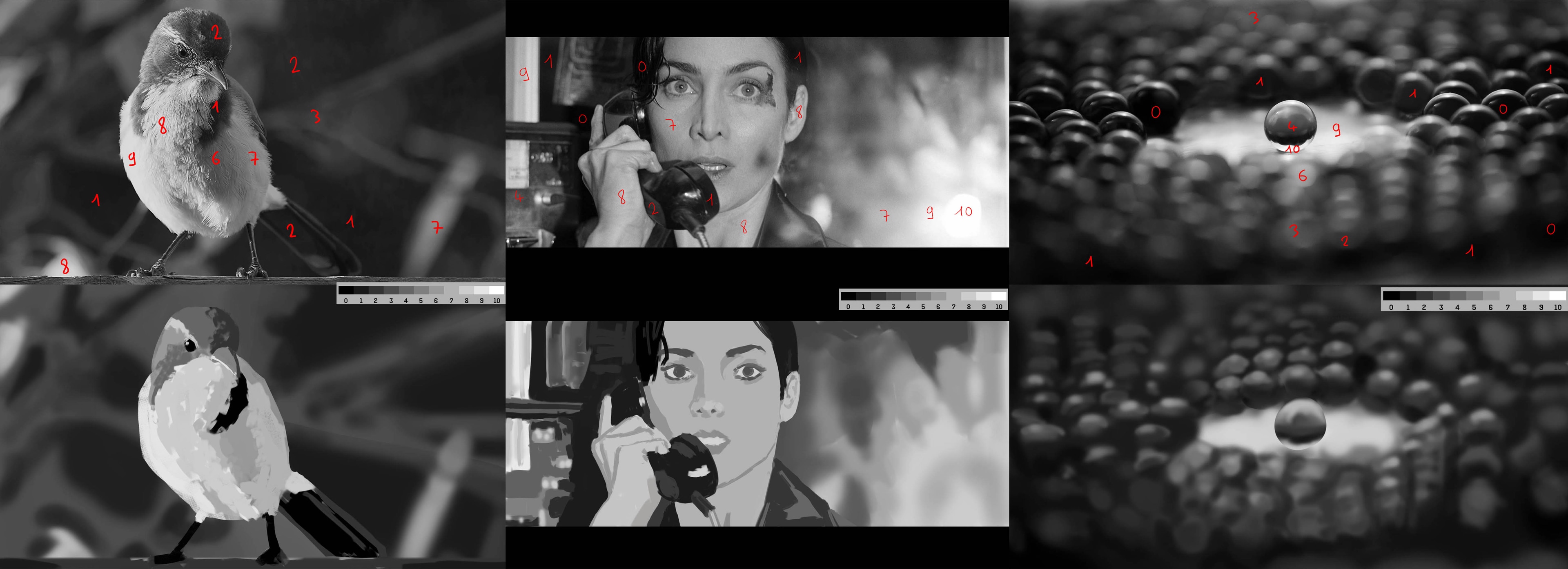 ex 1 Etudes de valeurs de gris par Ben Broceli