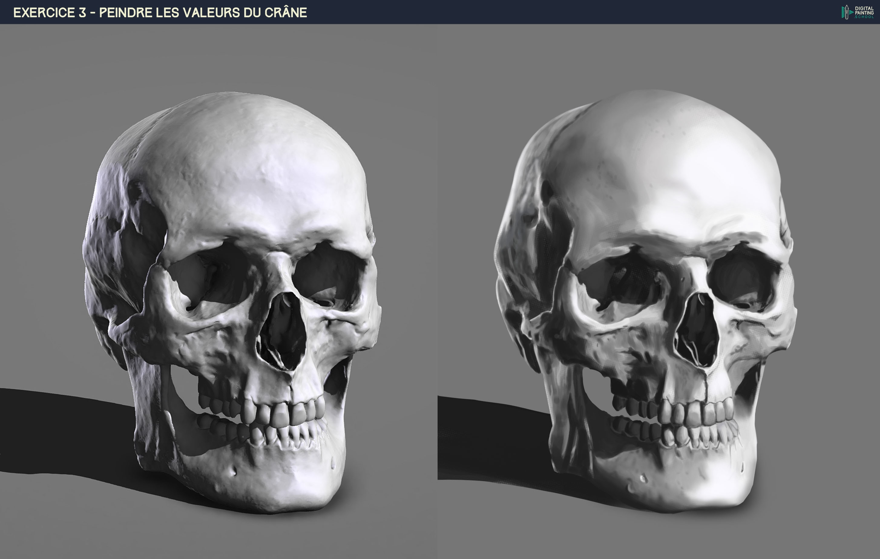 ex 3 Valeurs du crâne par Ben Broceli