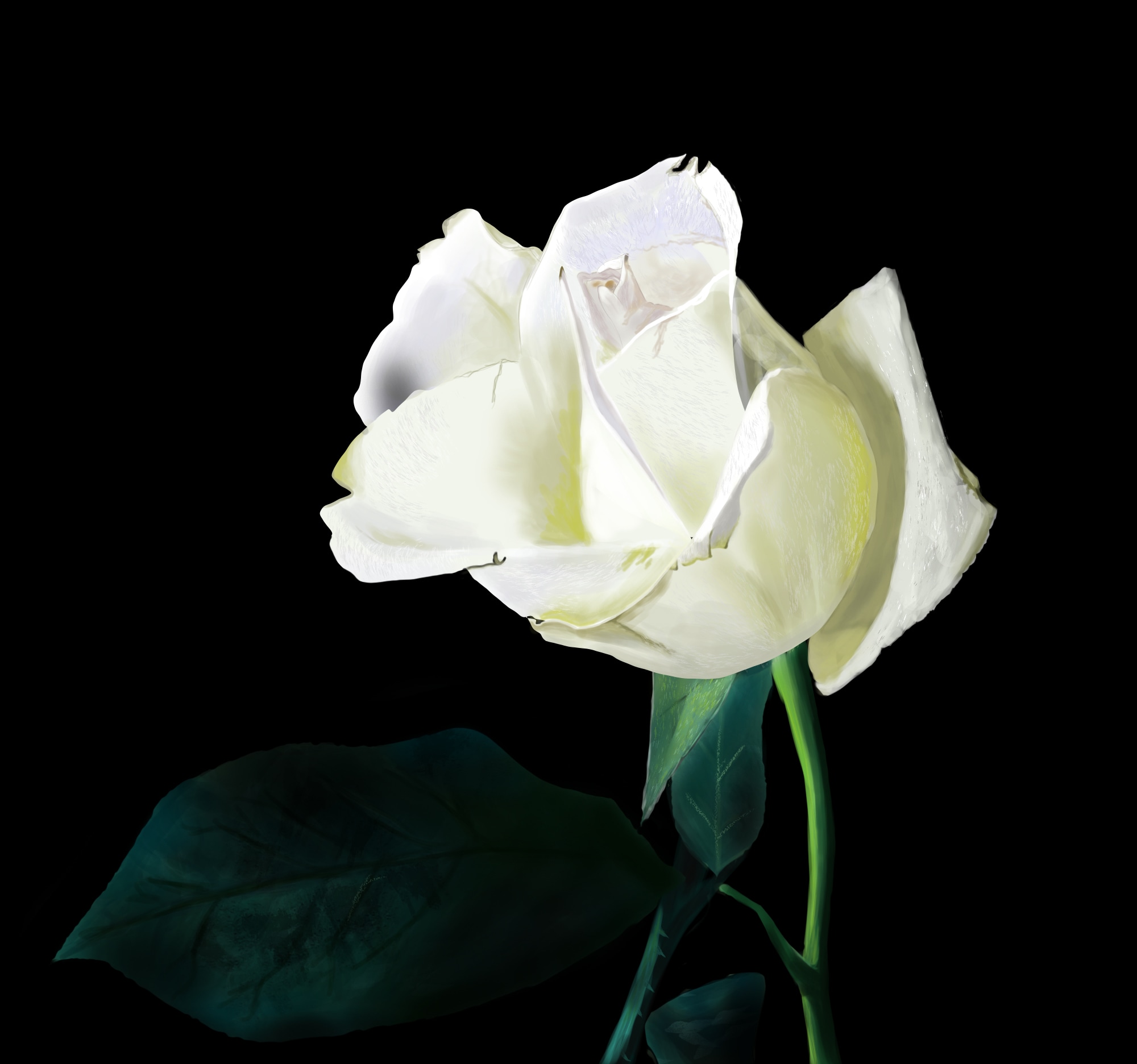 ex3 Painting au lasso par Ben Broceli