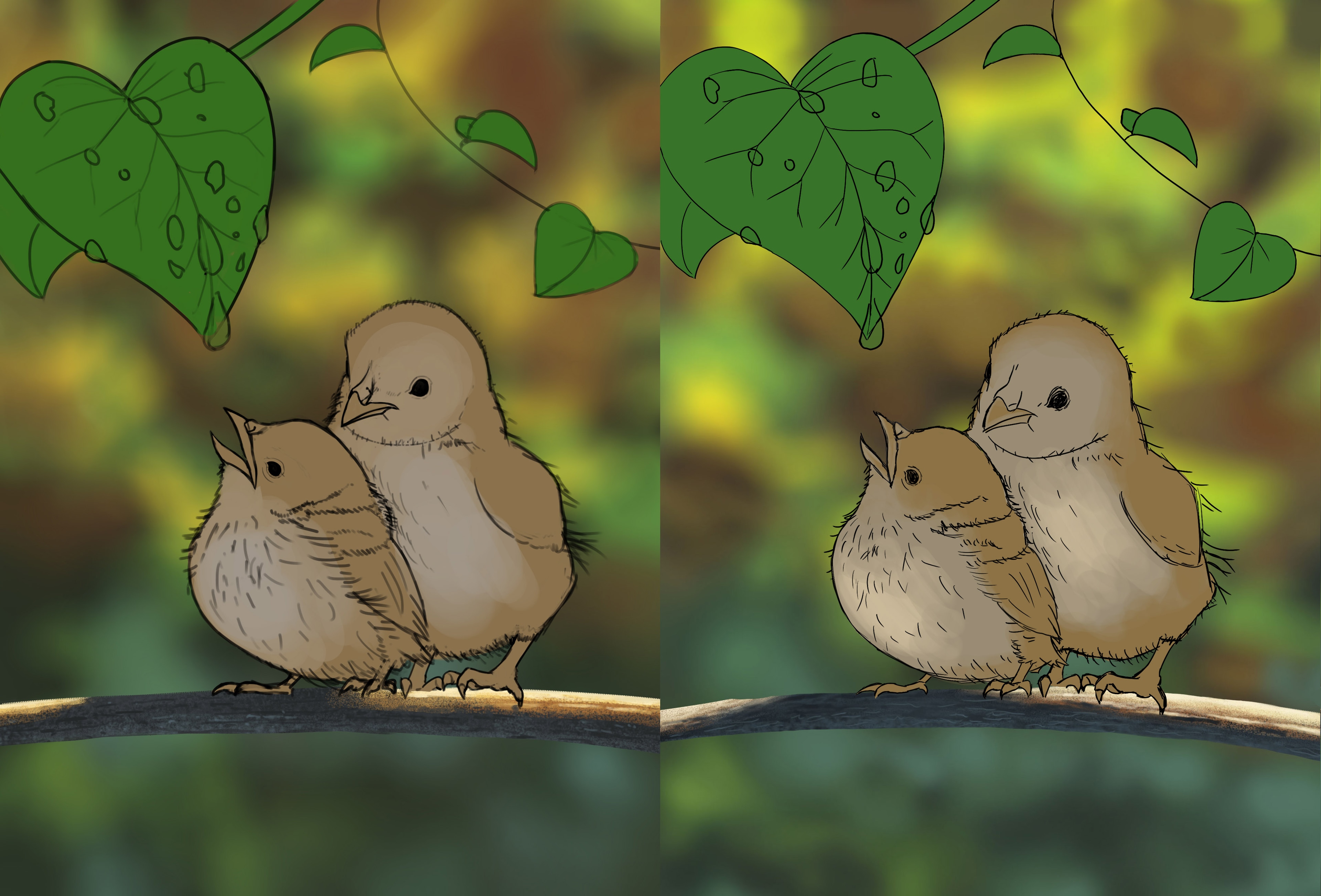 ex 6 oisillons par Ben Broceli