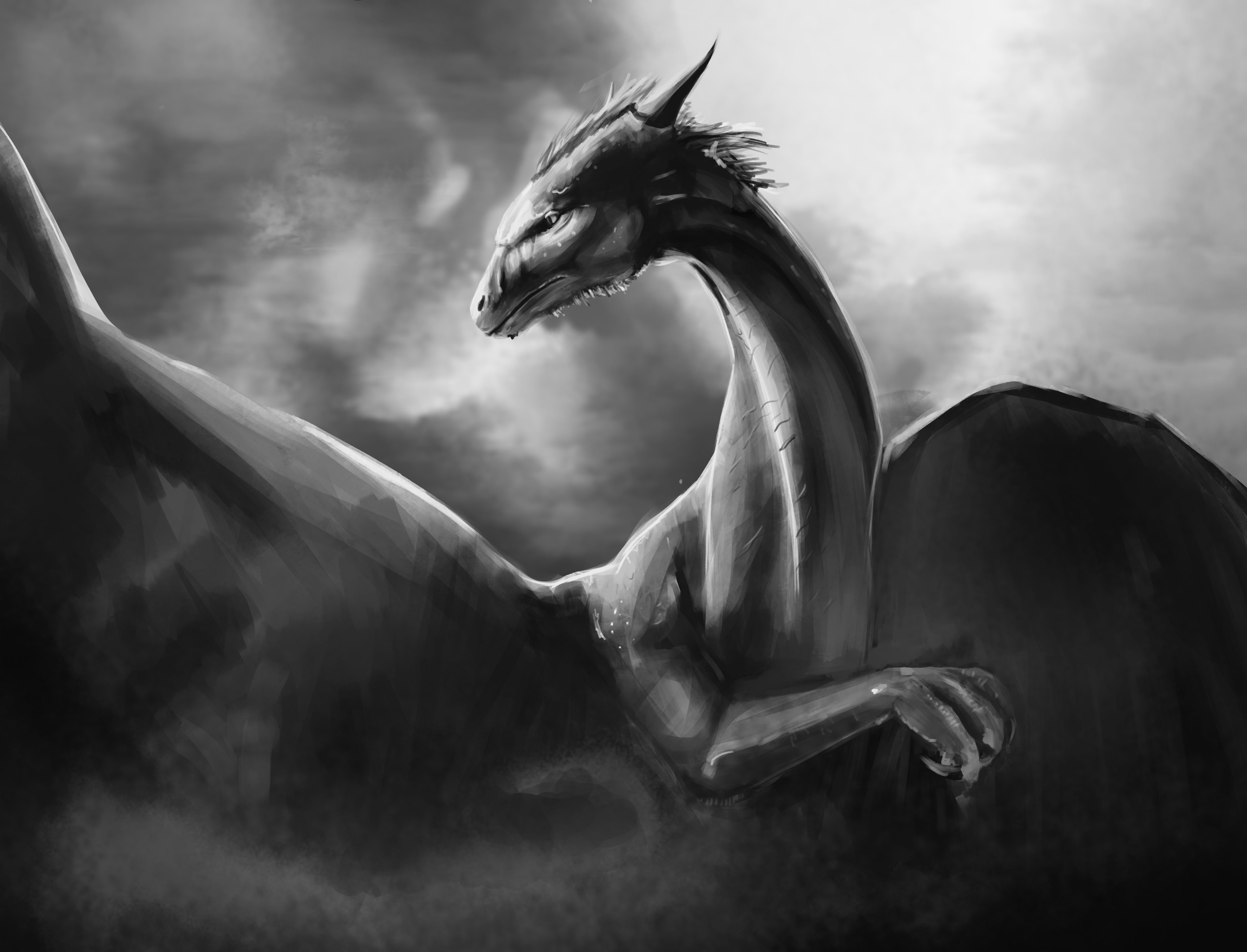 Saphira en Exo "bonus" de Valeur et de nuance par jyggalag