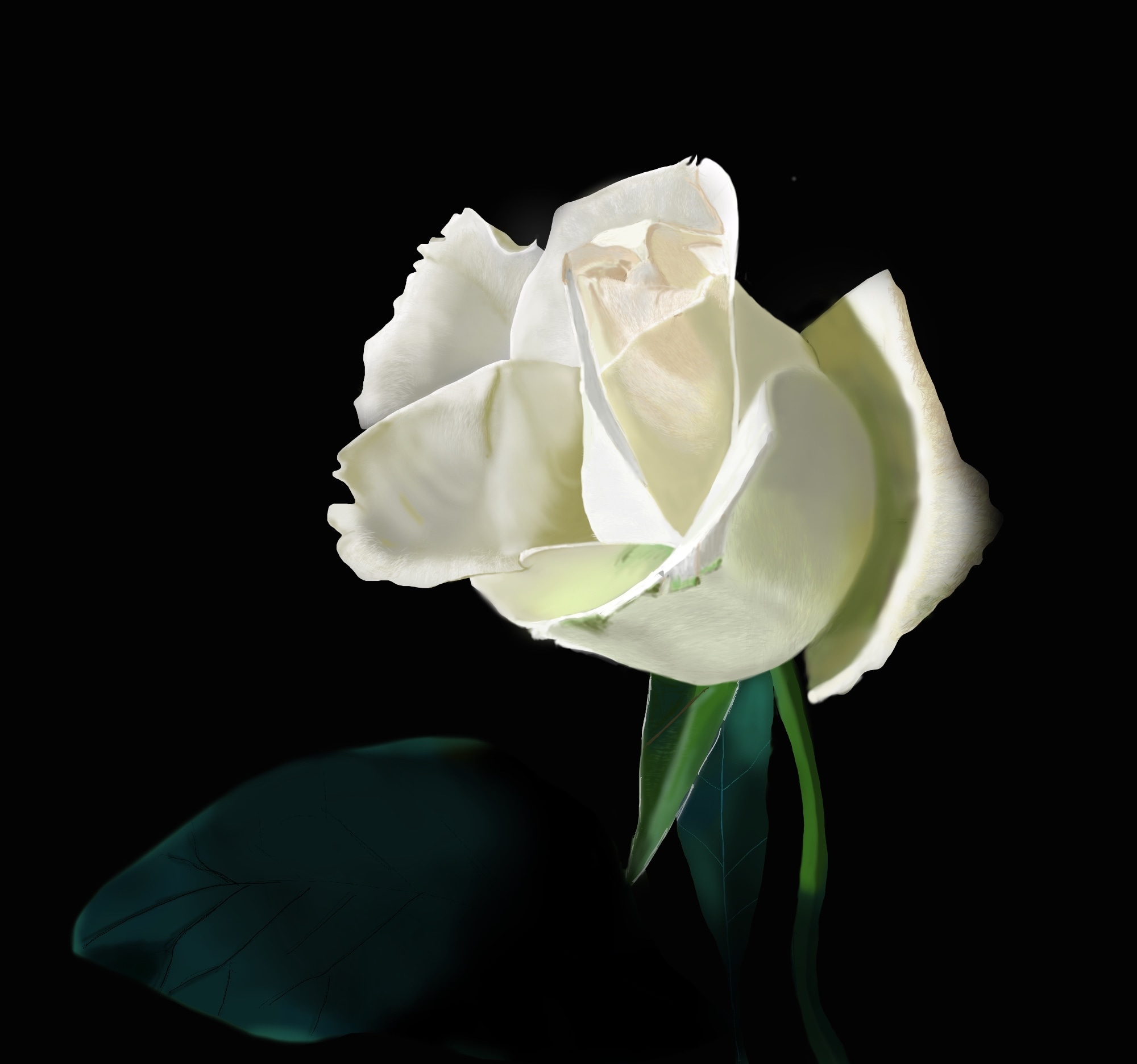 La rose par naomie63