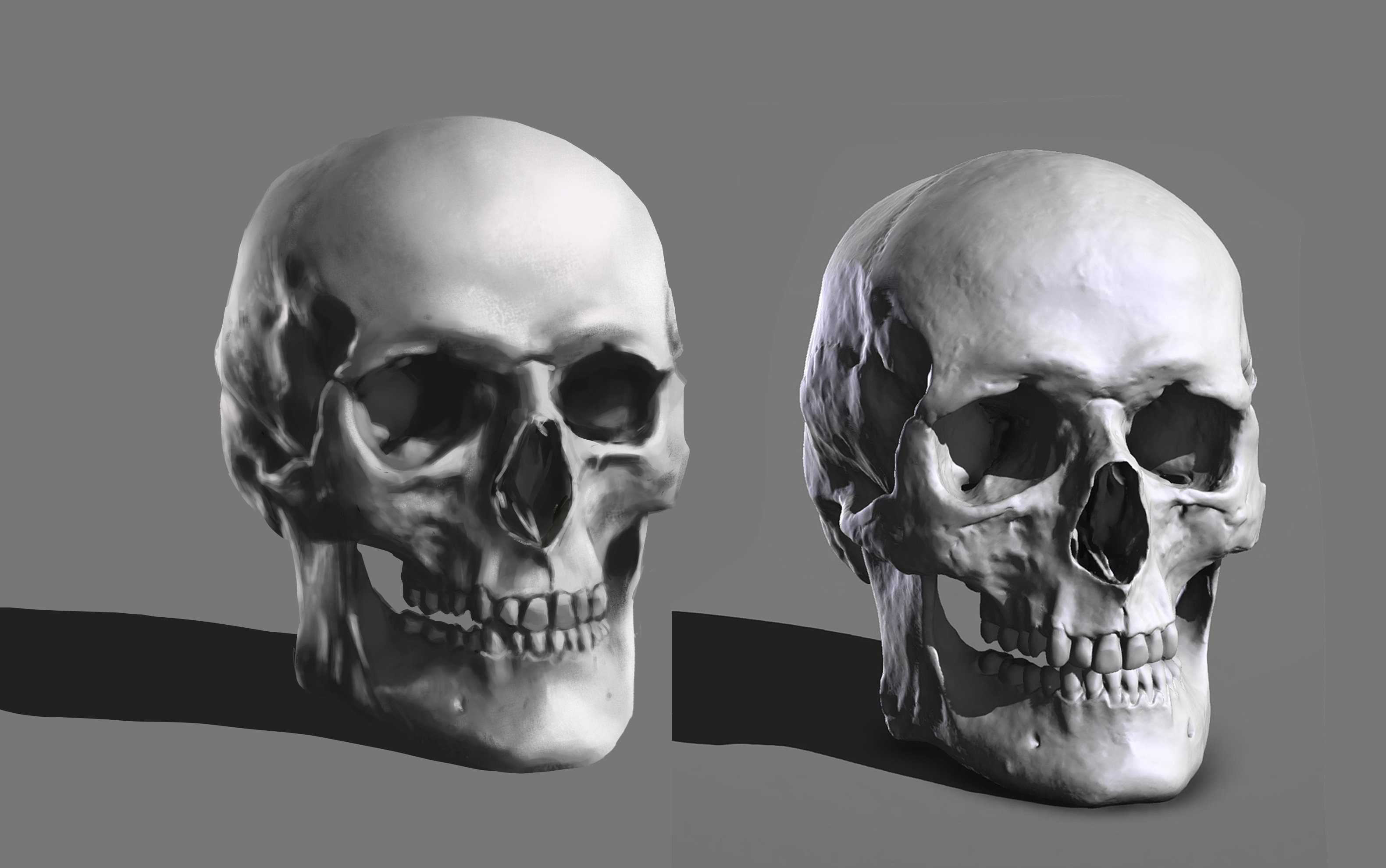 croquis de crâne par bussi29