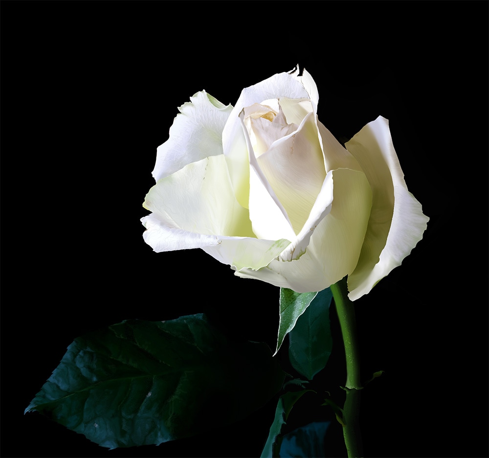 Exercices DPS par Hira