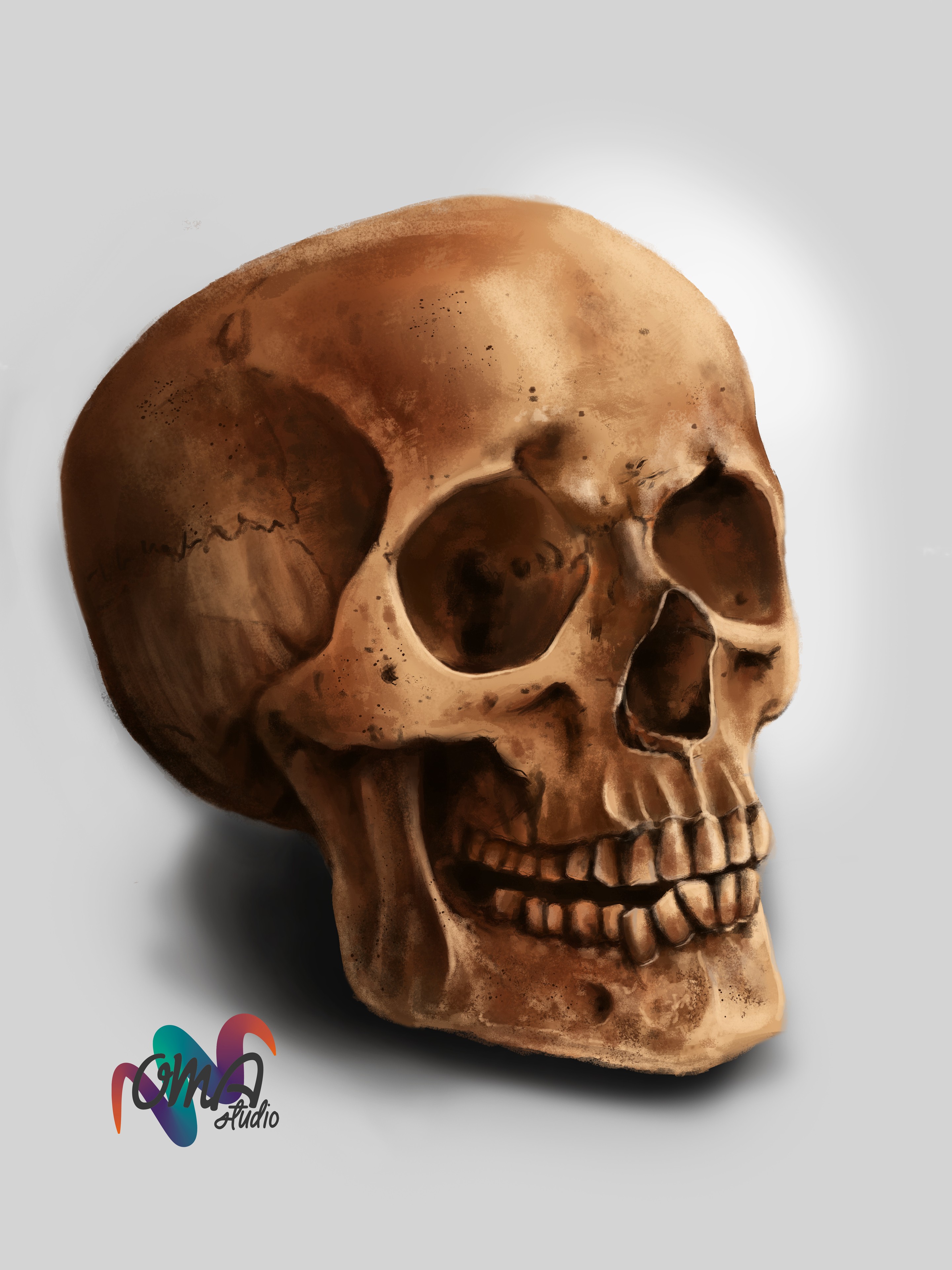 Etude anatomique du crâne. par Othae