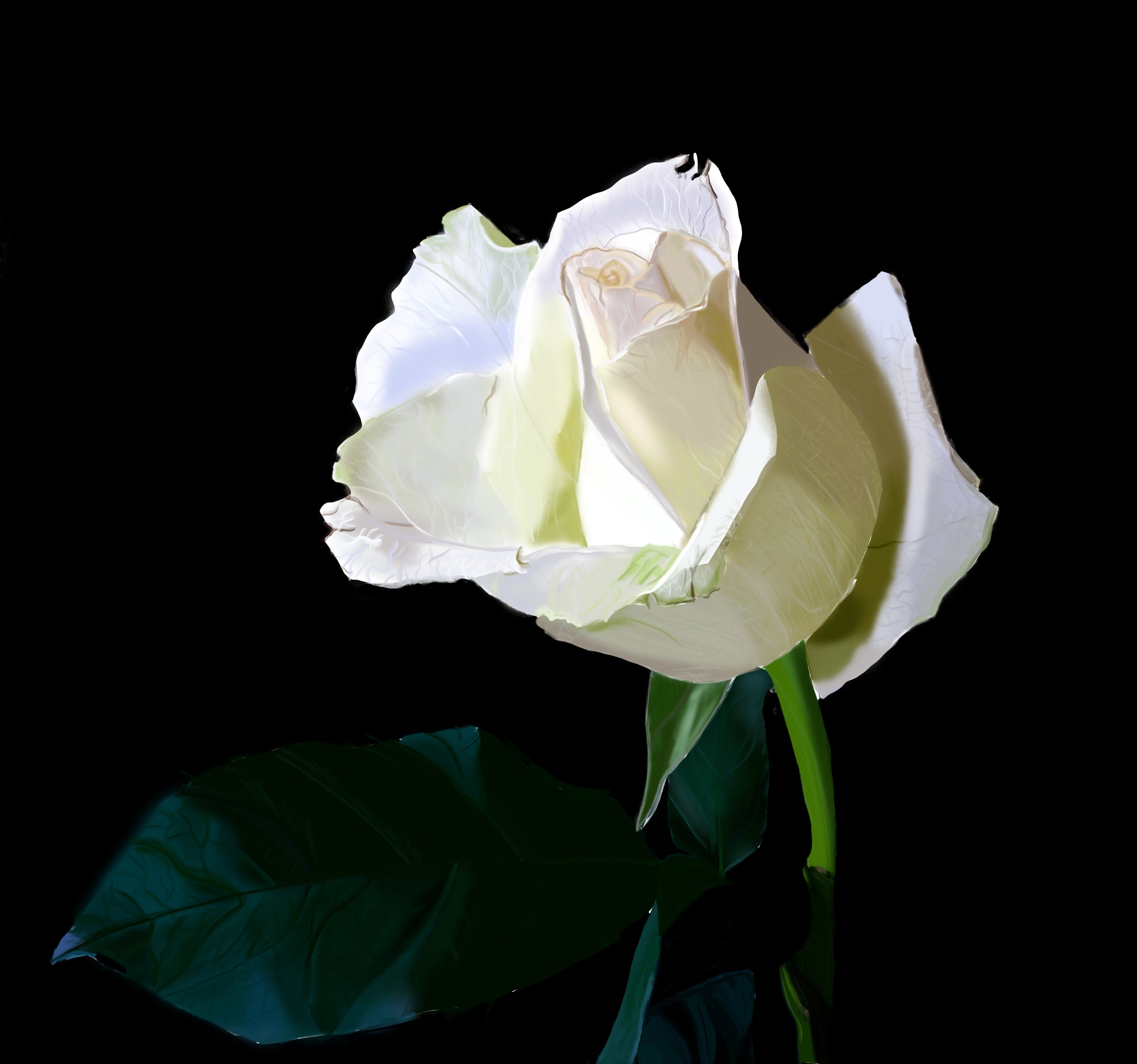 Exercice rose par mababo54