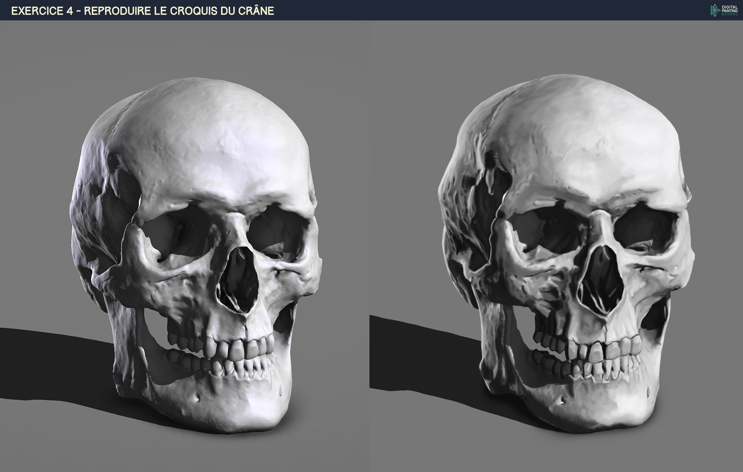 Chapitre 4 - Exercice 3 - Le crâne par Arka