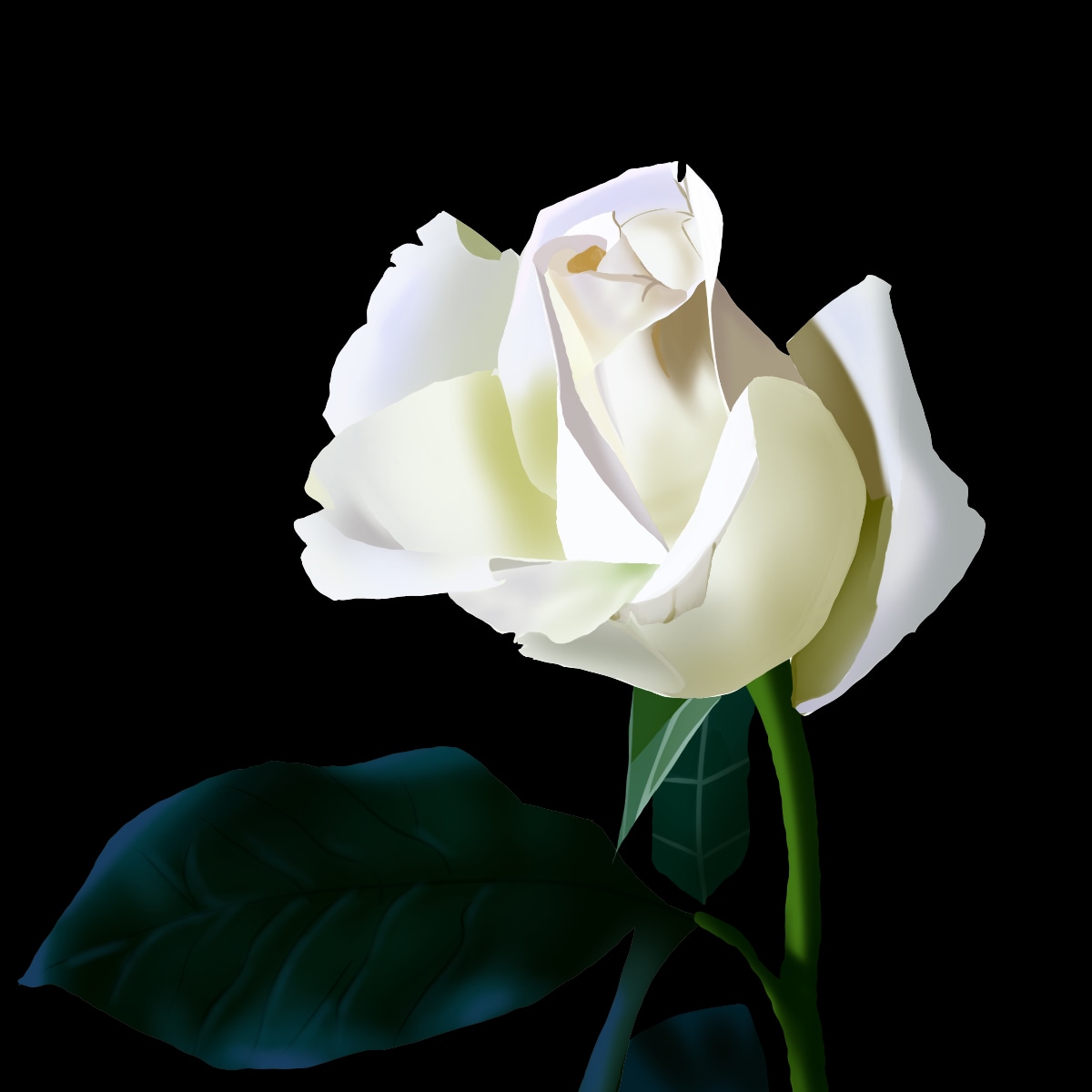 Exercice Fleur par ravayra