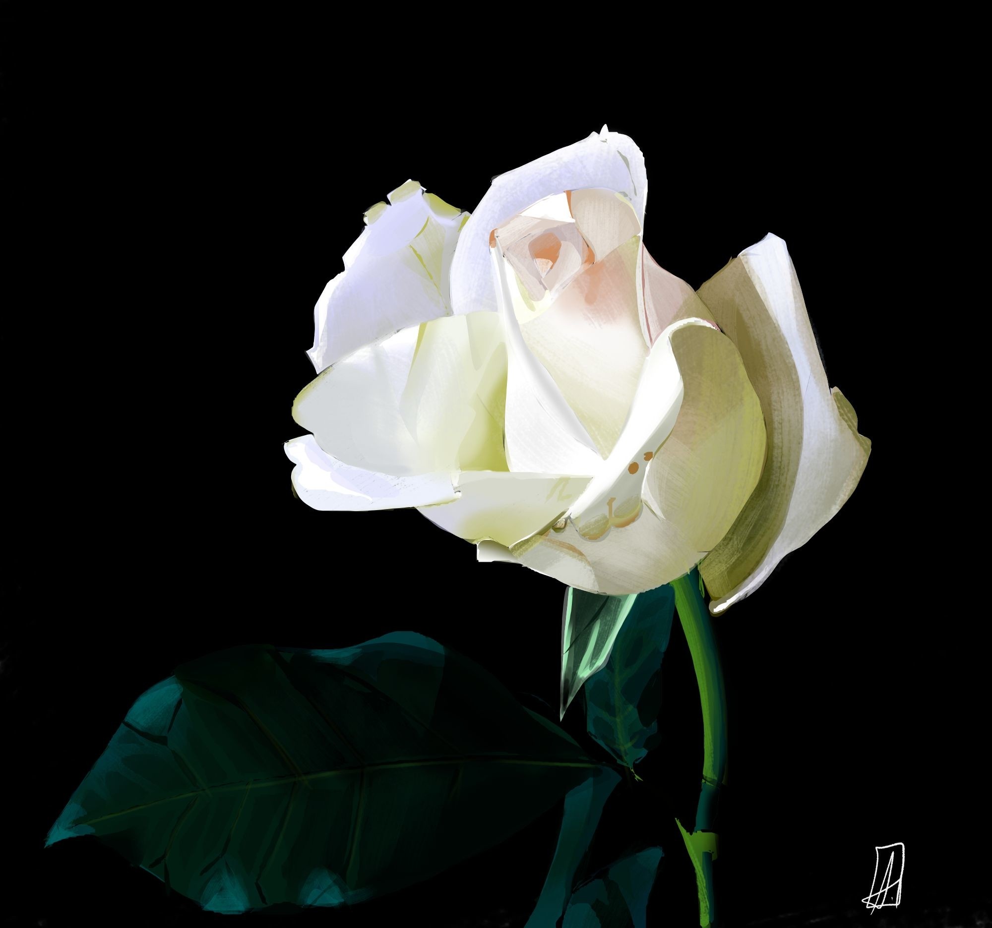 Exercice 3 Chapitre 1 : rose blanche par shost