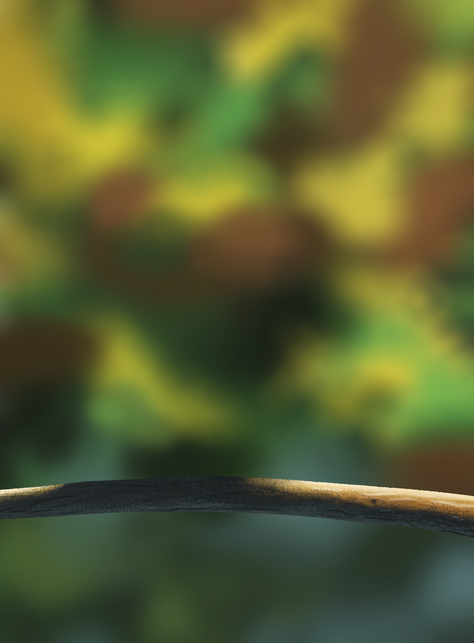 [P1C1] Exercices par Sopo