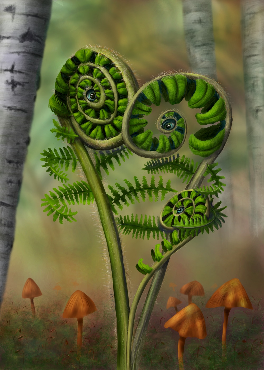 Regards croisés par Natura