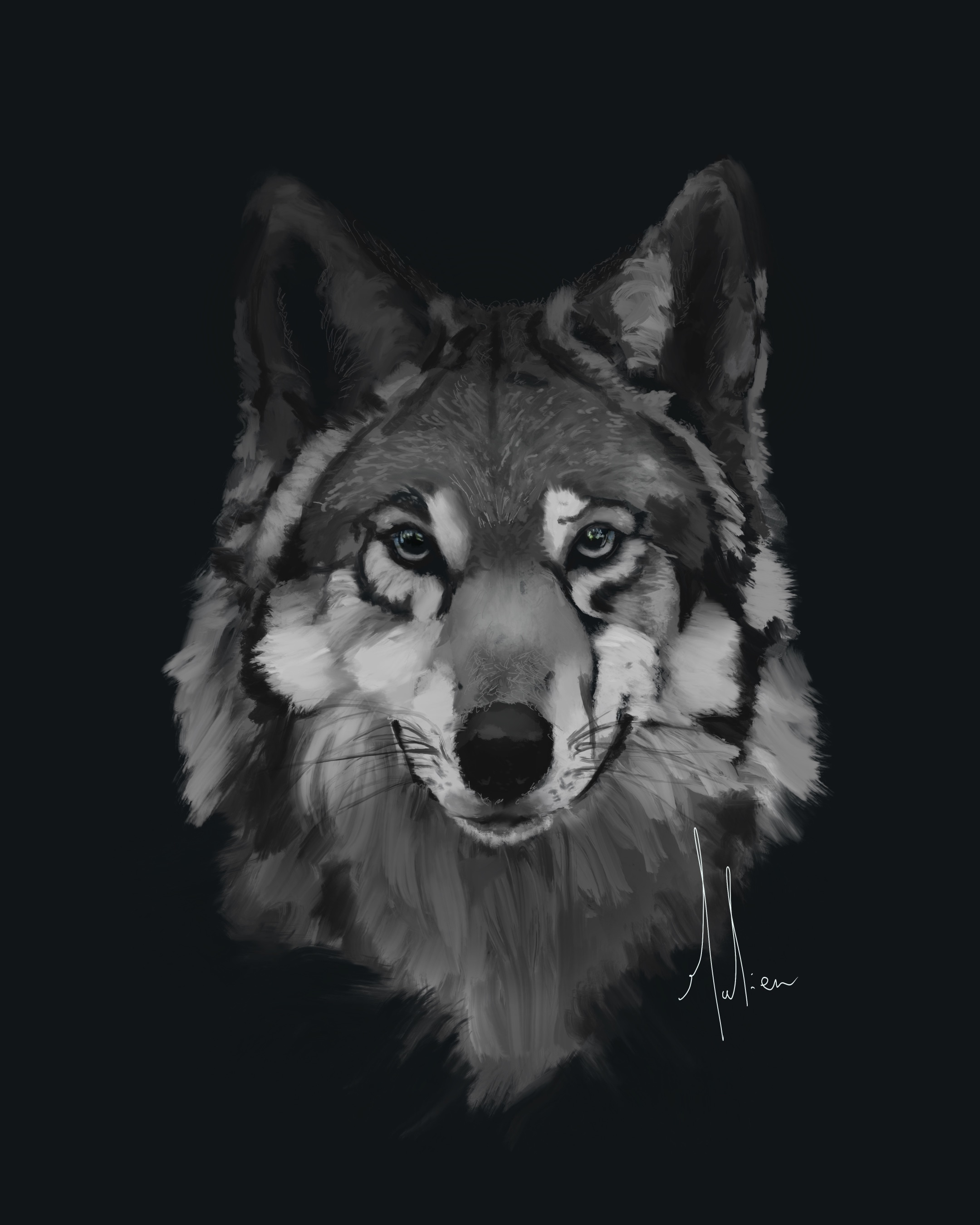 Wildlife Study par JulienVougaz
