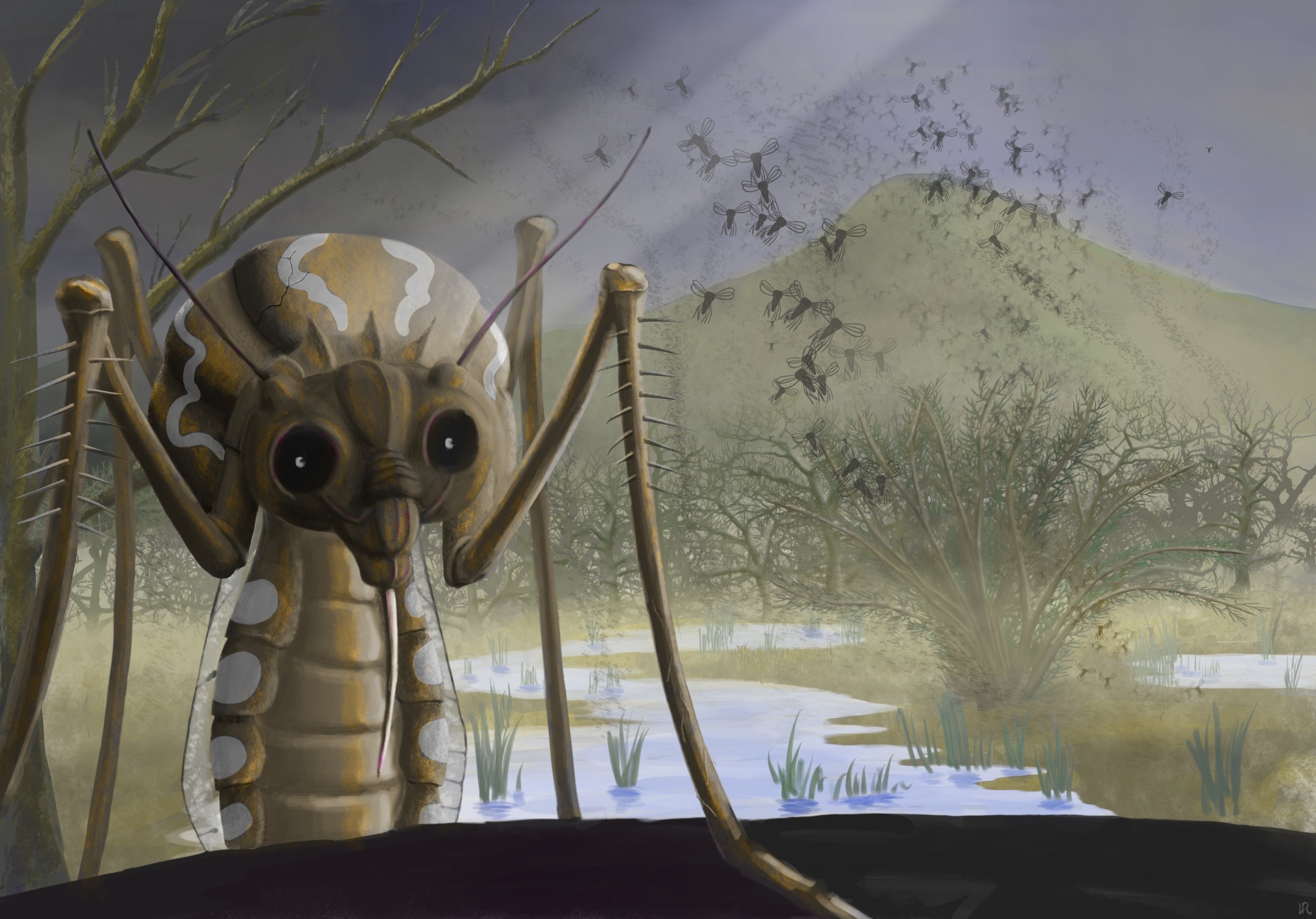 Infesté de moustiques par laurent75