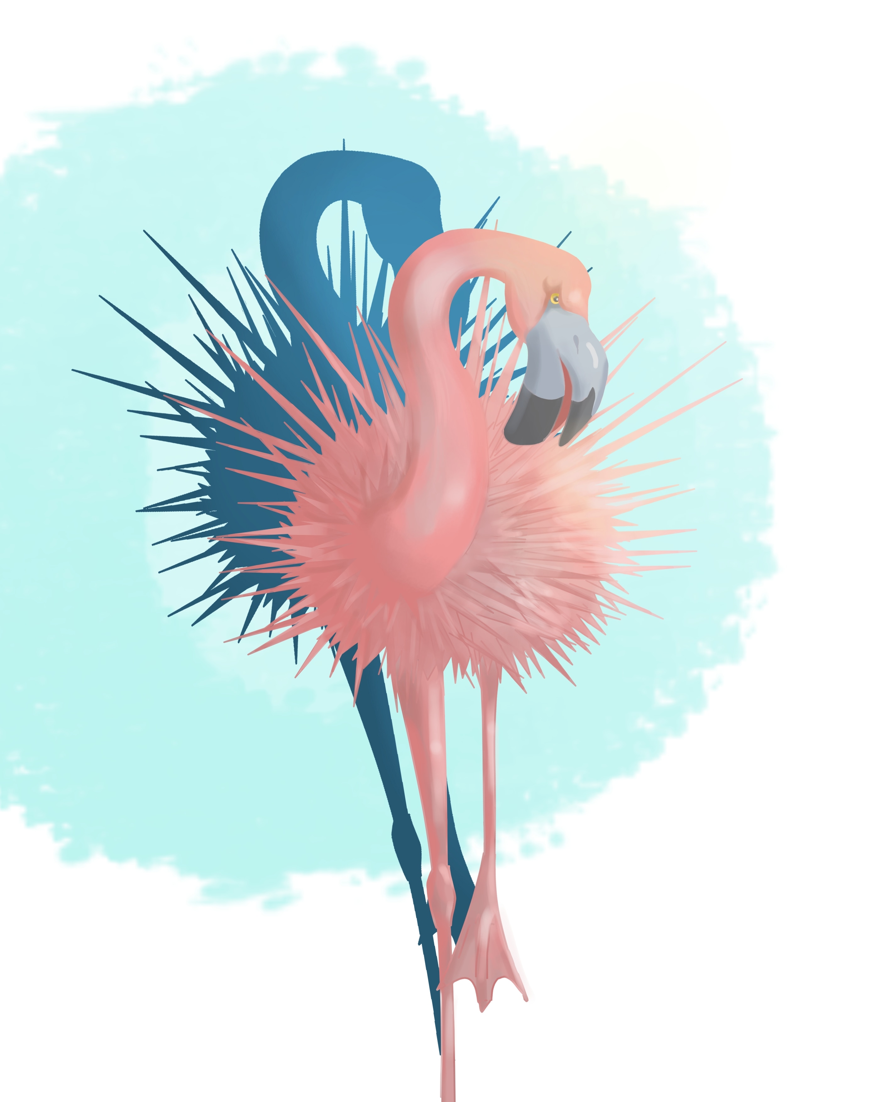 flamand-oursin par bussi29