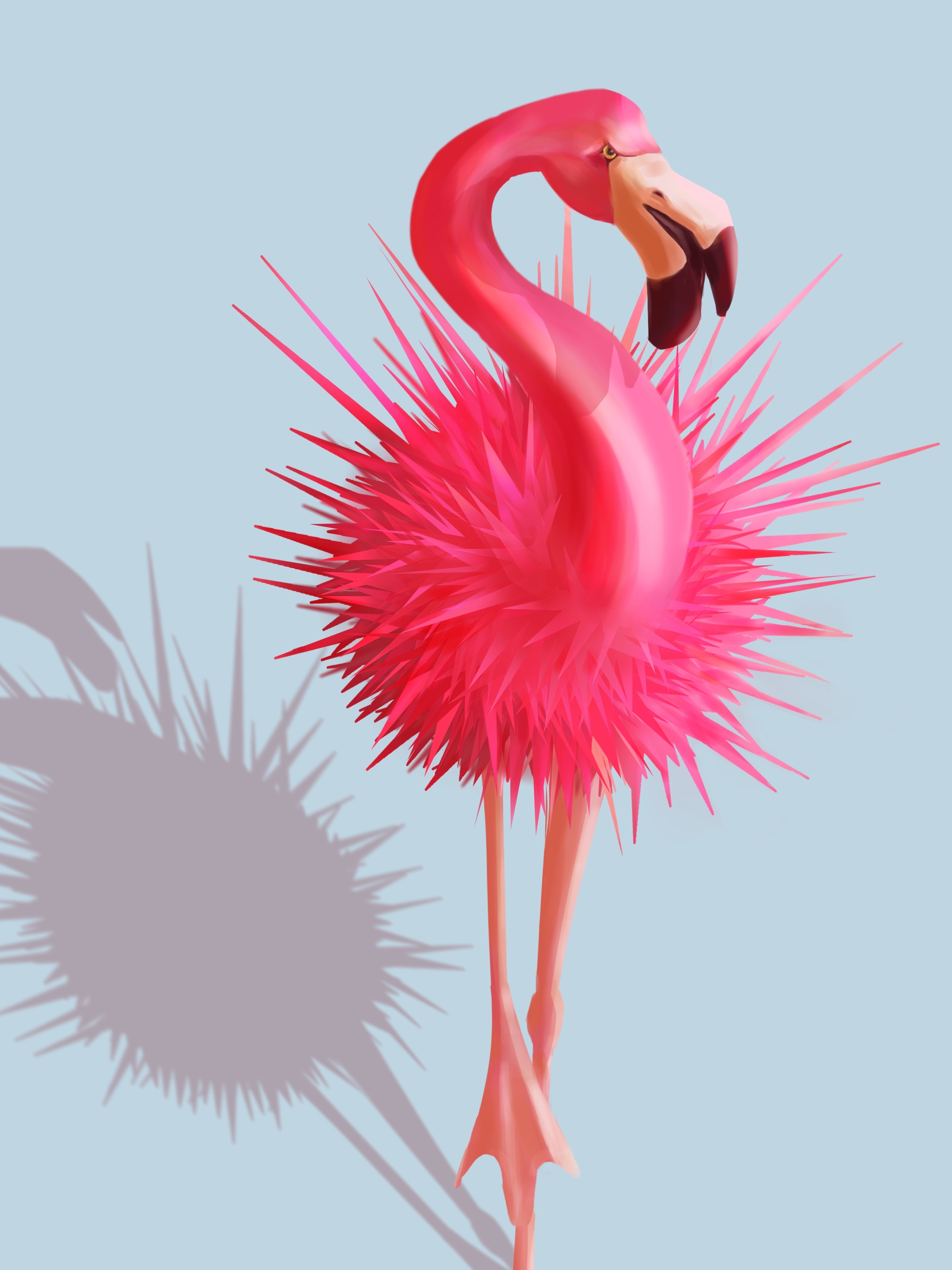 flamand-oursin par bussi29