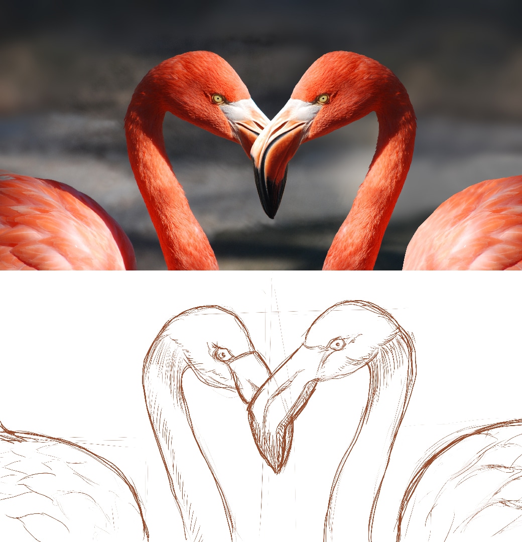 Mes cours 2nd partie 2023-2024 par nova