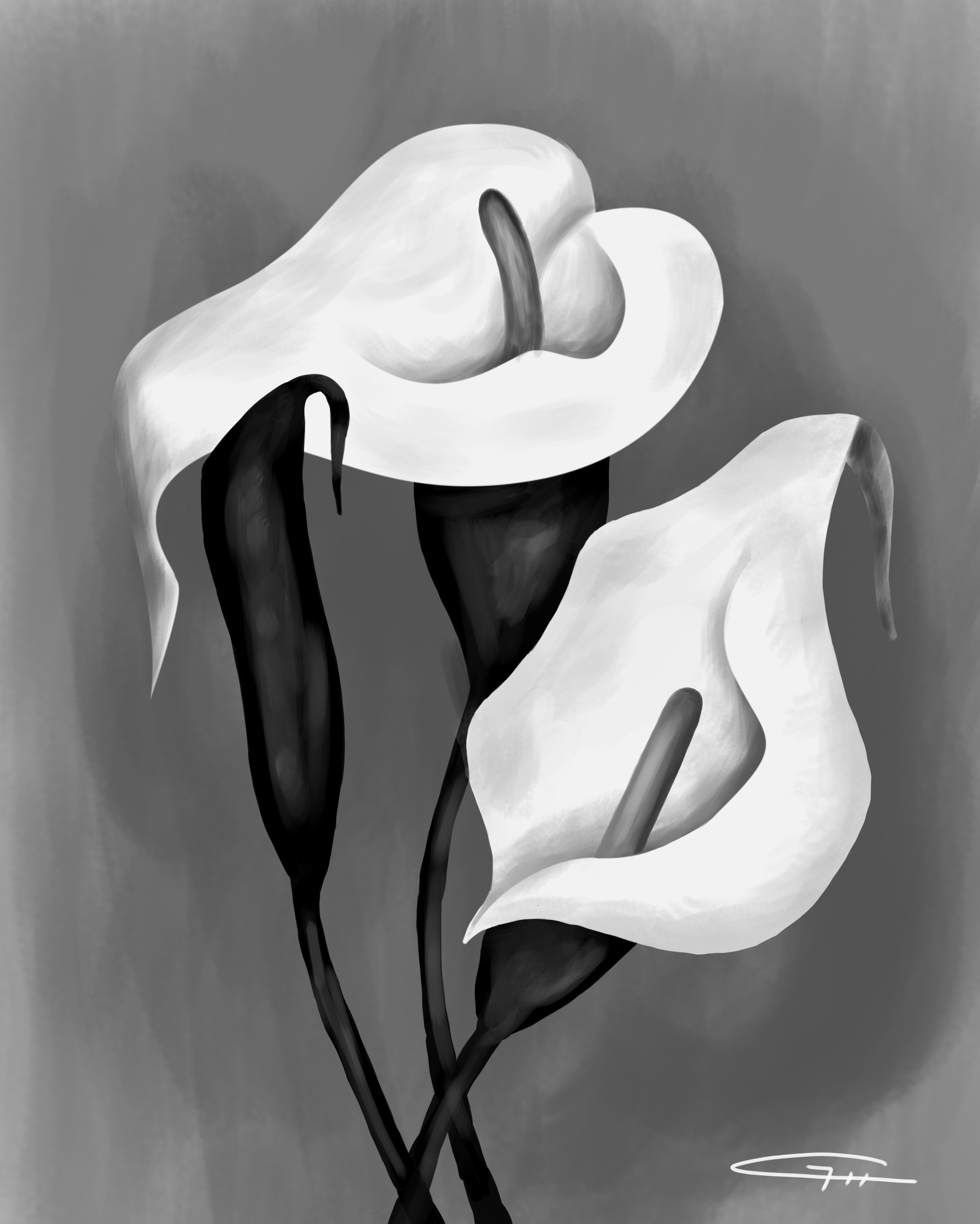 Fleurs par Tetsuo