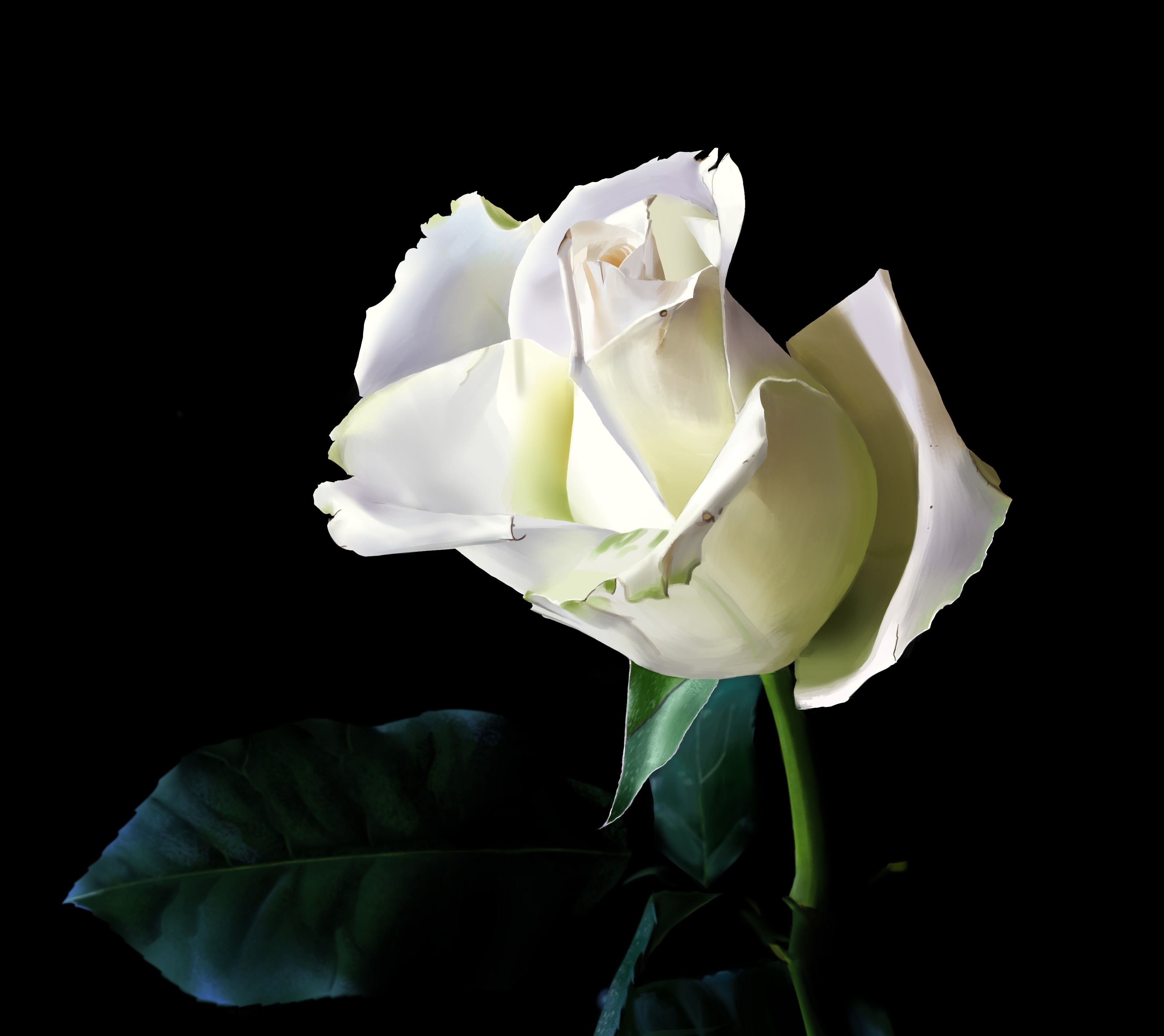 [P1C1] Exercices par Sopo