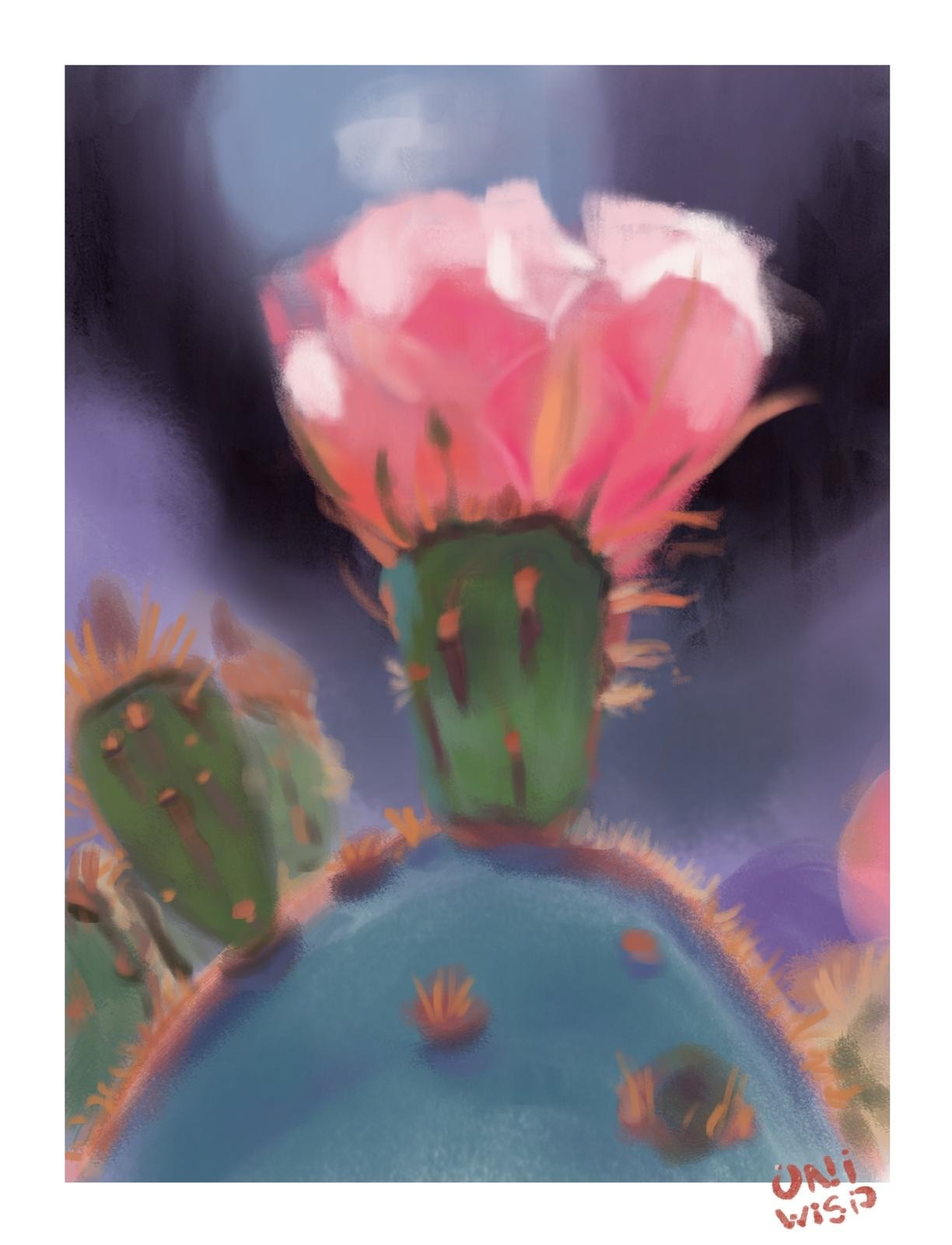PRATIQUE PROCREATE par bumblebibi1415