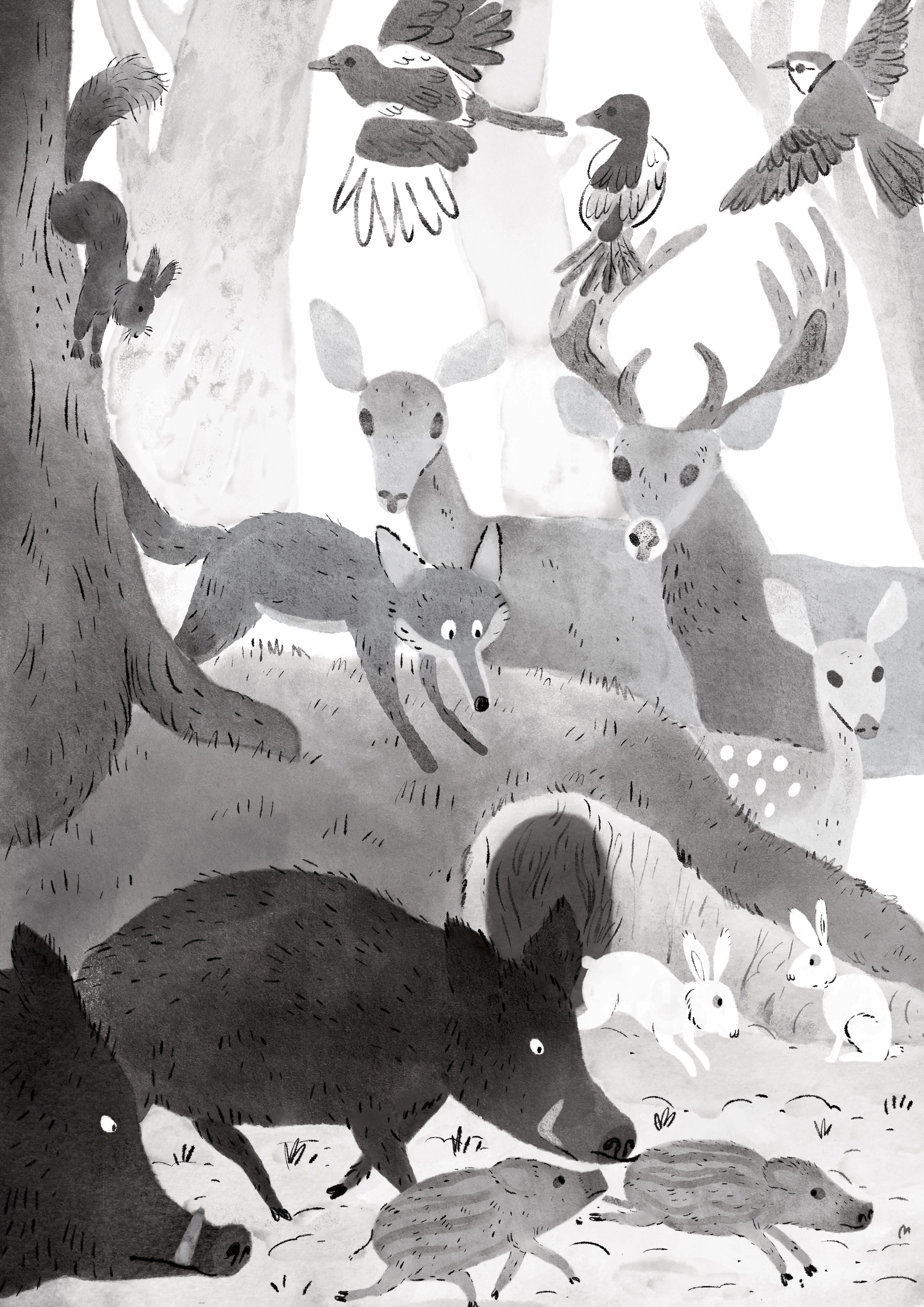 Petite gallerie par MatBab