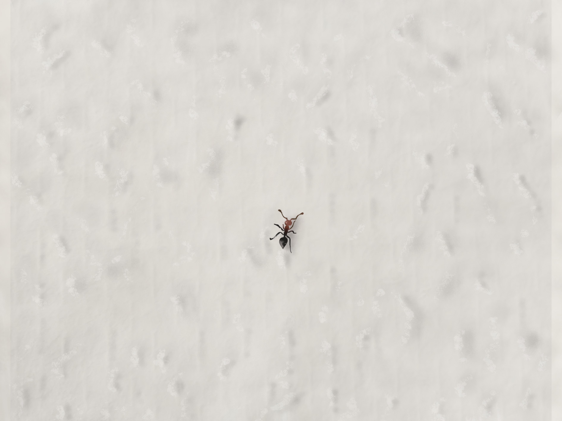 Petite chose sur un mur. par mahartin