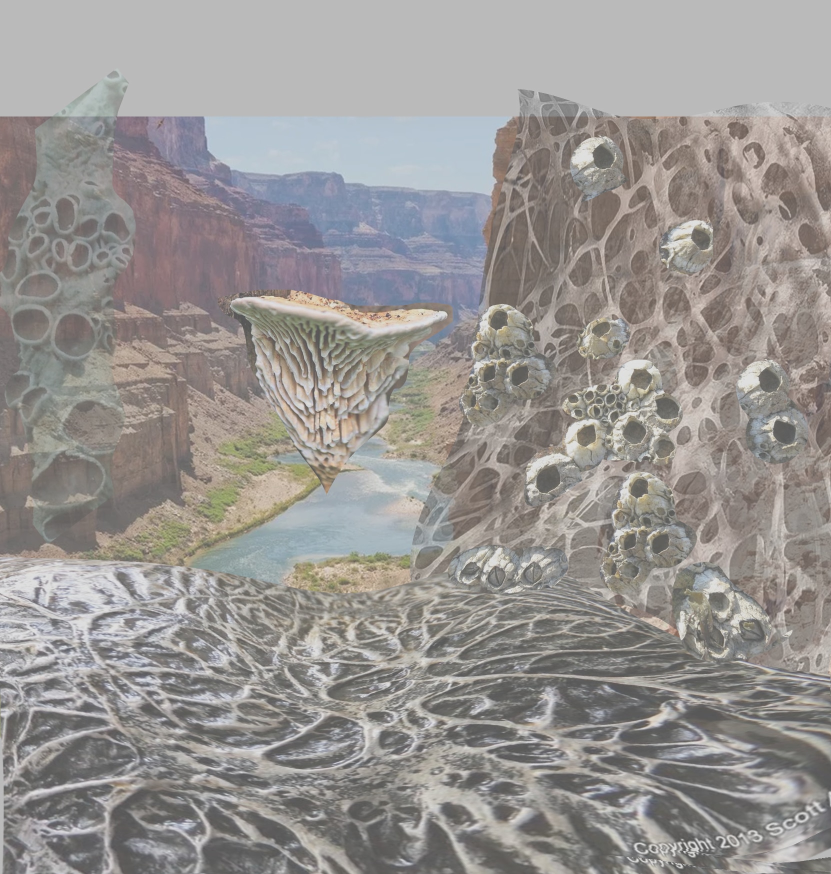 Fuir la peste verte remake par Mirahat