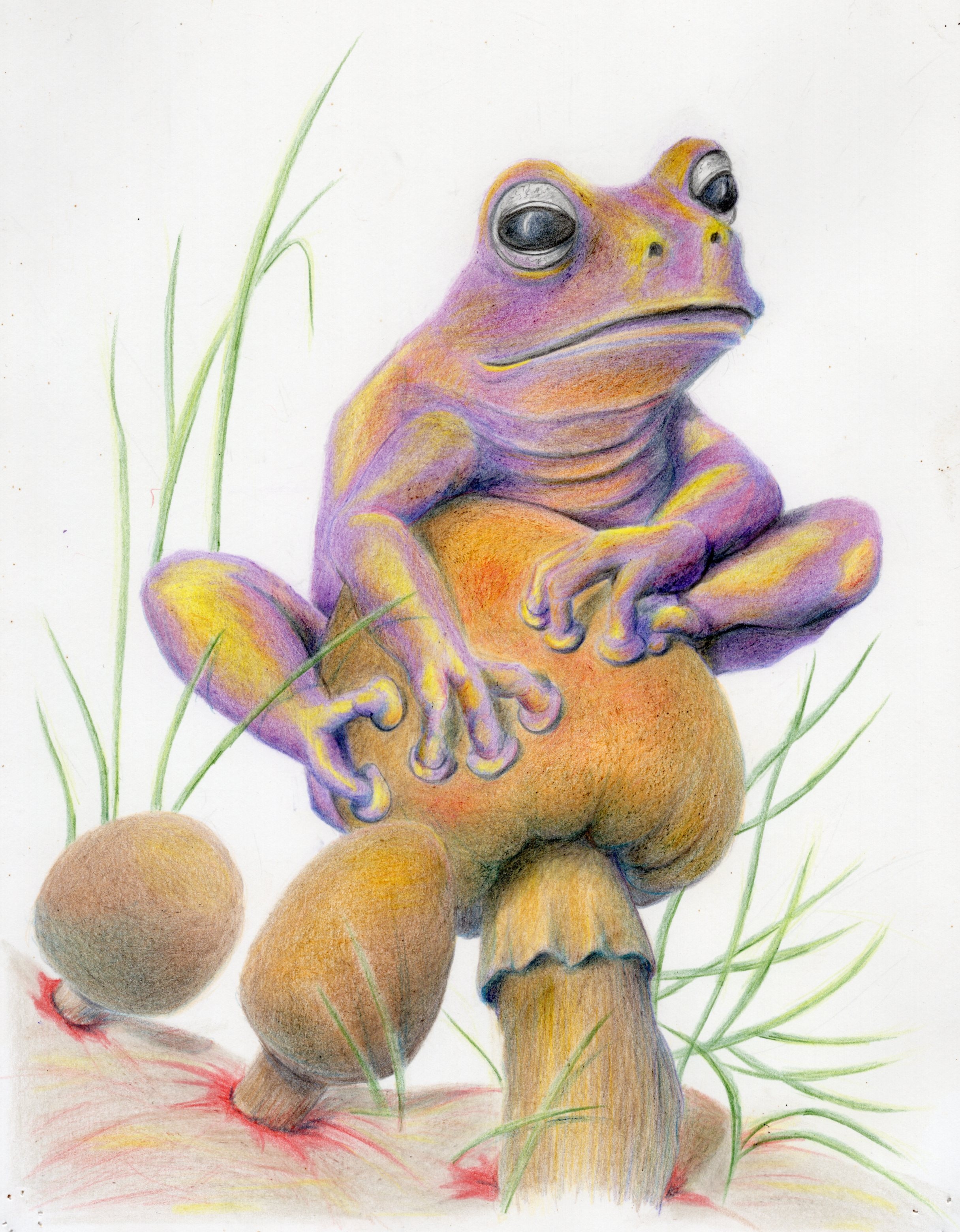 Comprendre et survivre par Natura