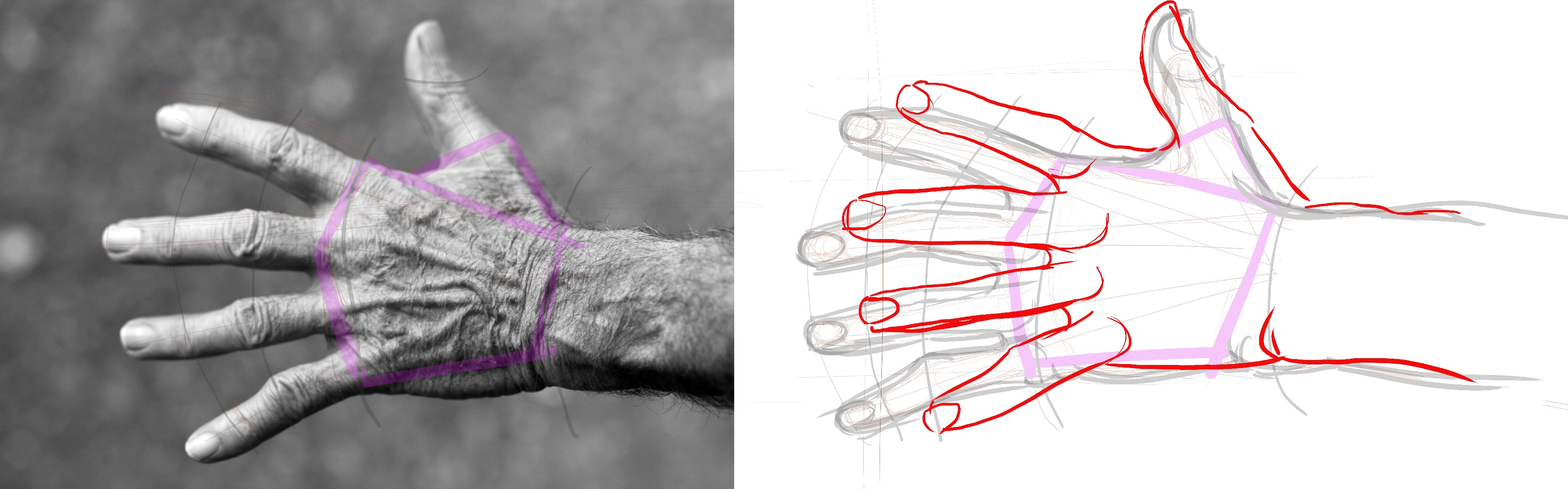 Mes cours 2nd partie 2023-2024 par nova