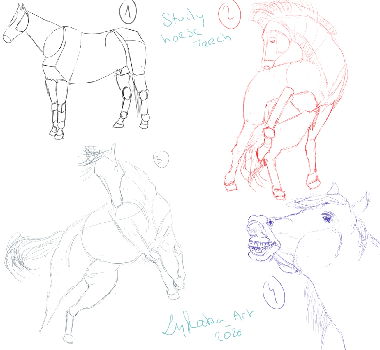 Exo mensuel du mois de mars 2026 par lykoska