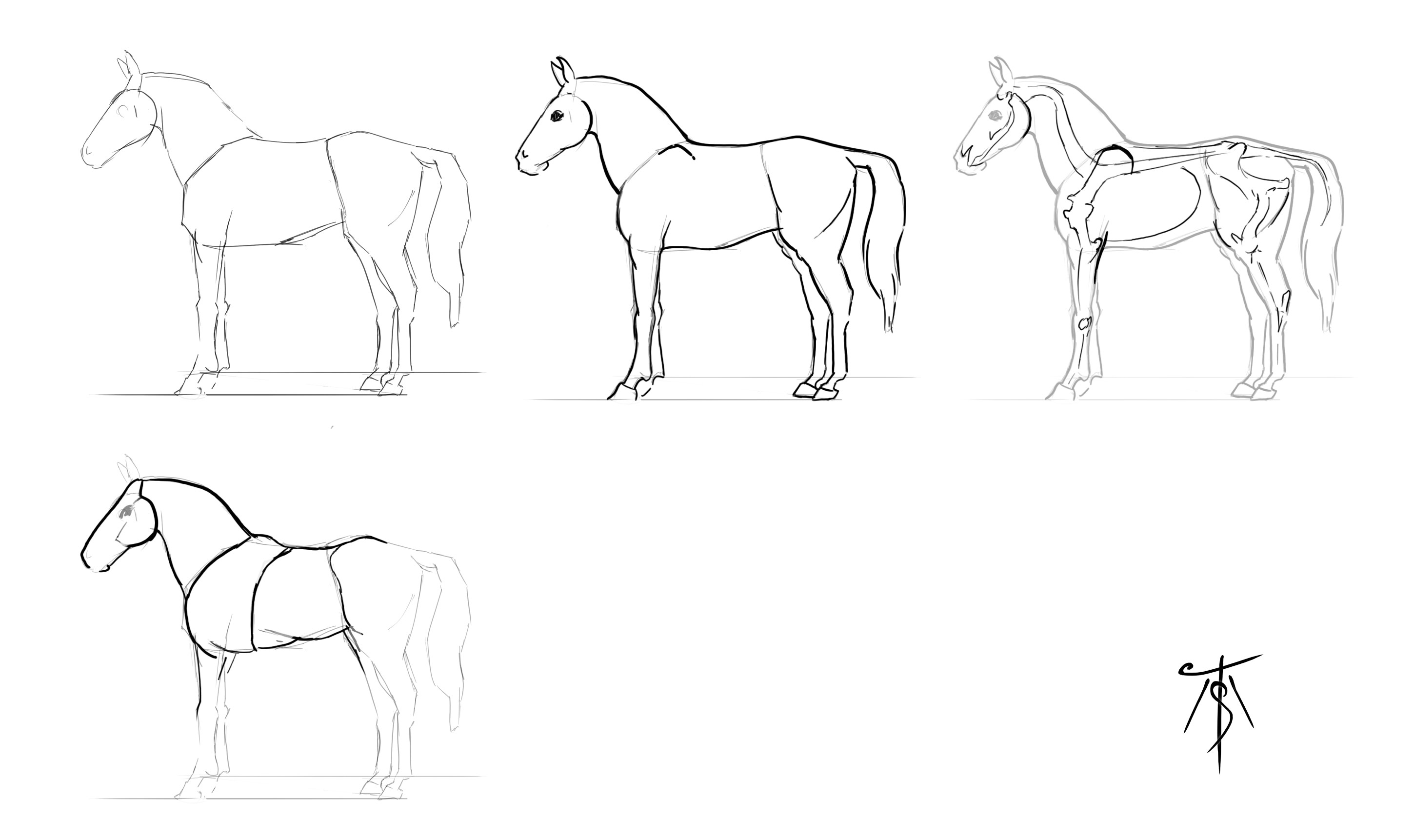 Sketches Chevaux par Taliesin