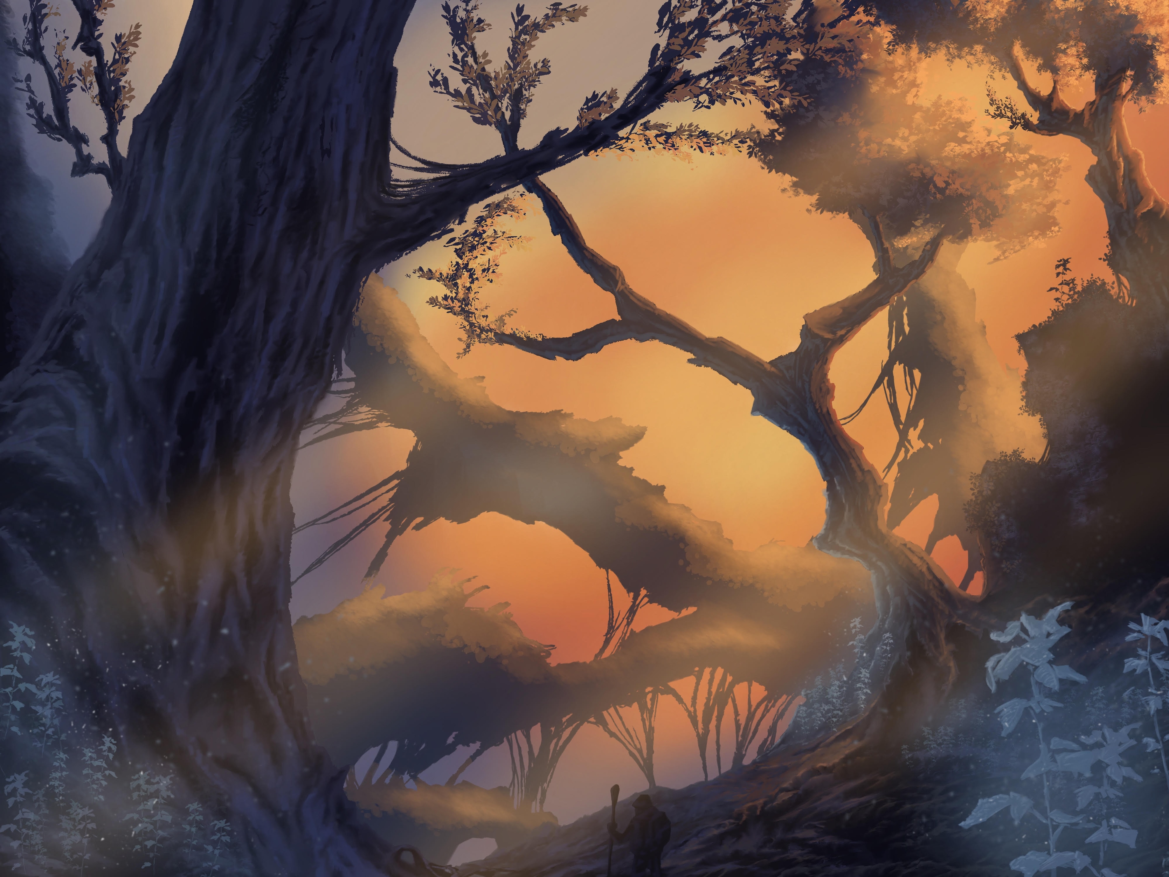 Forest 1 par Munchy