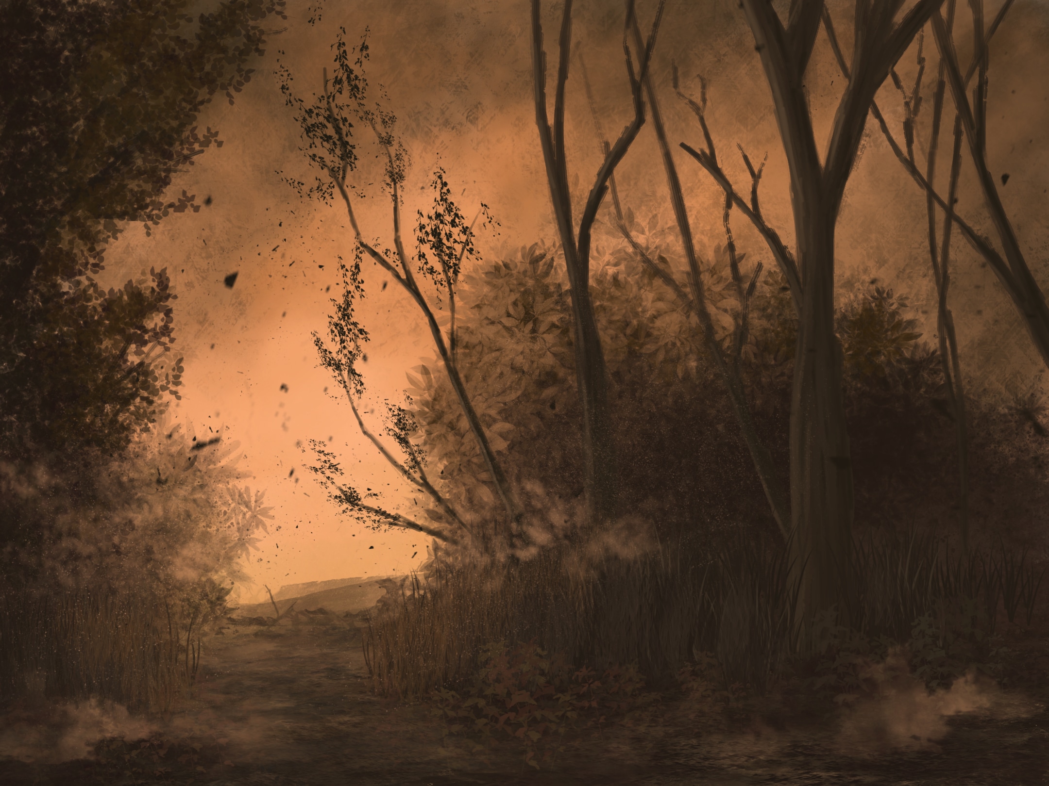 Forest 2 par Munchy