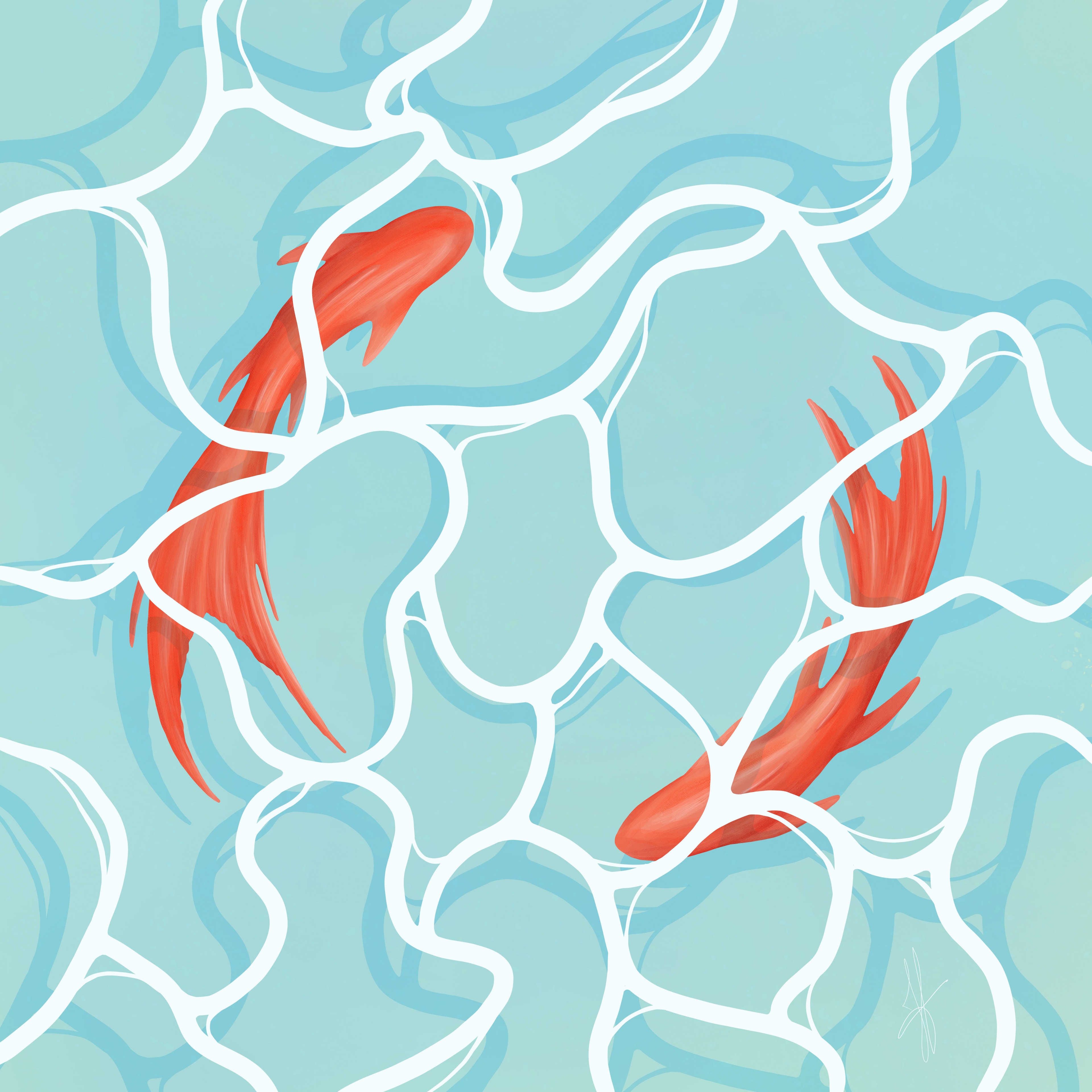 Danse des poissons par holdwig