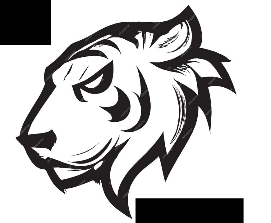 tigre par BaptisteLP