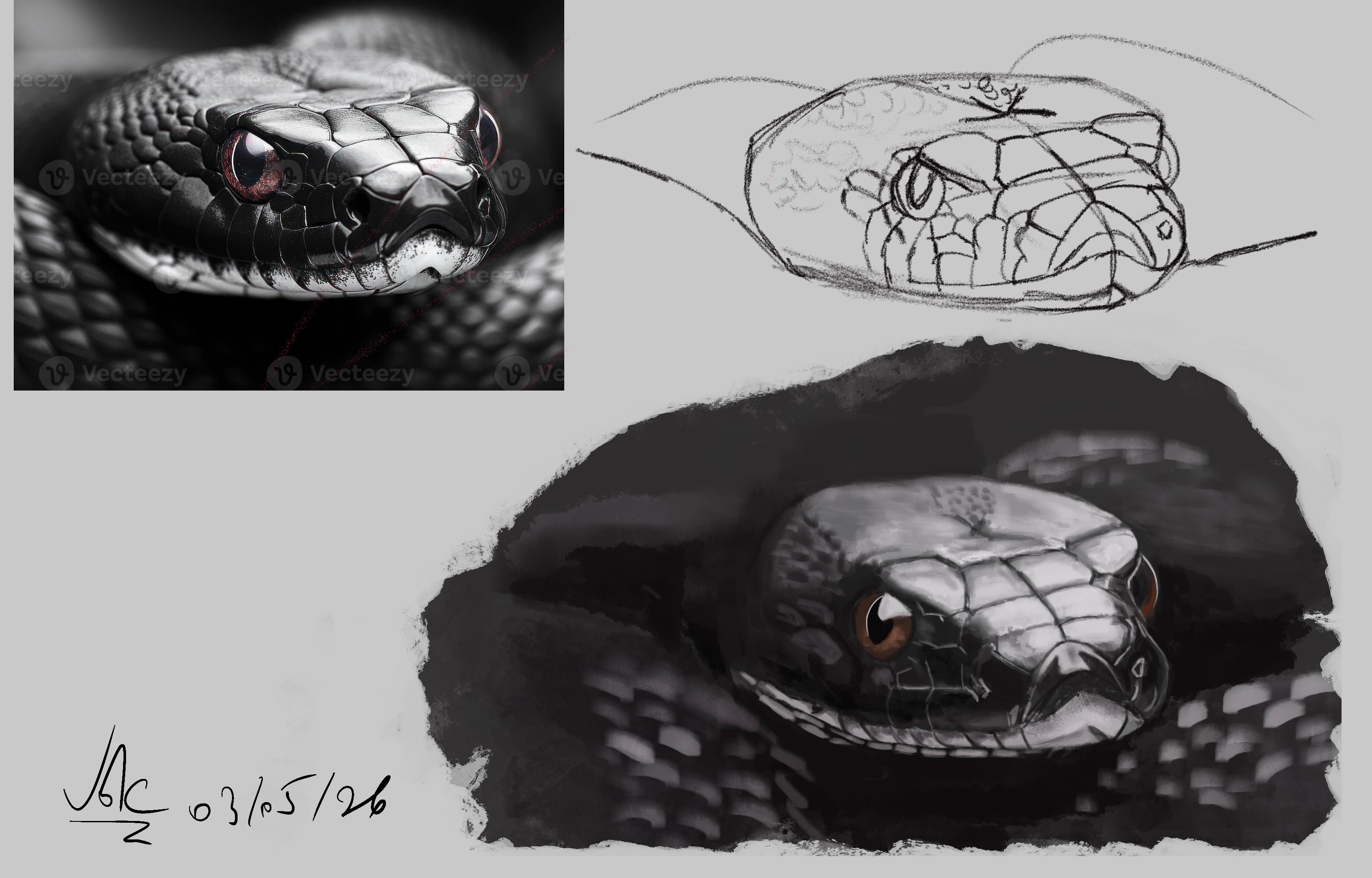 Étude serpent par Valens