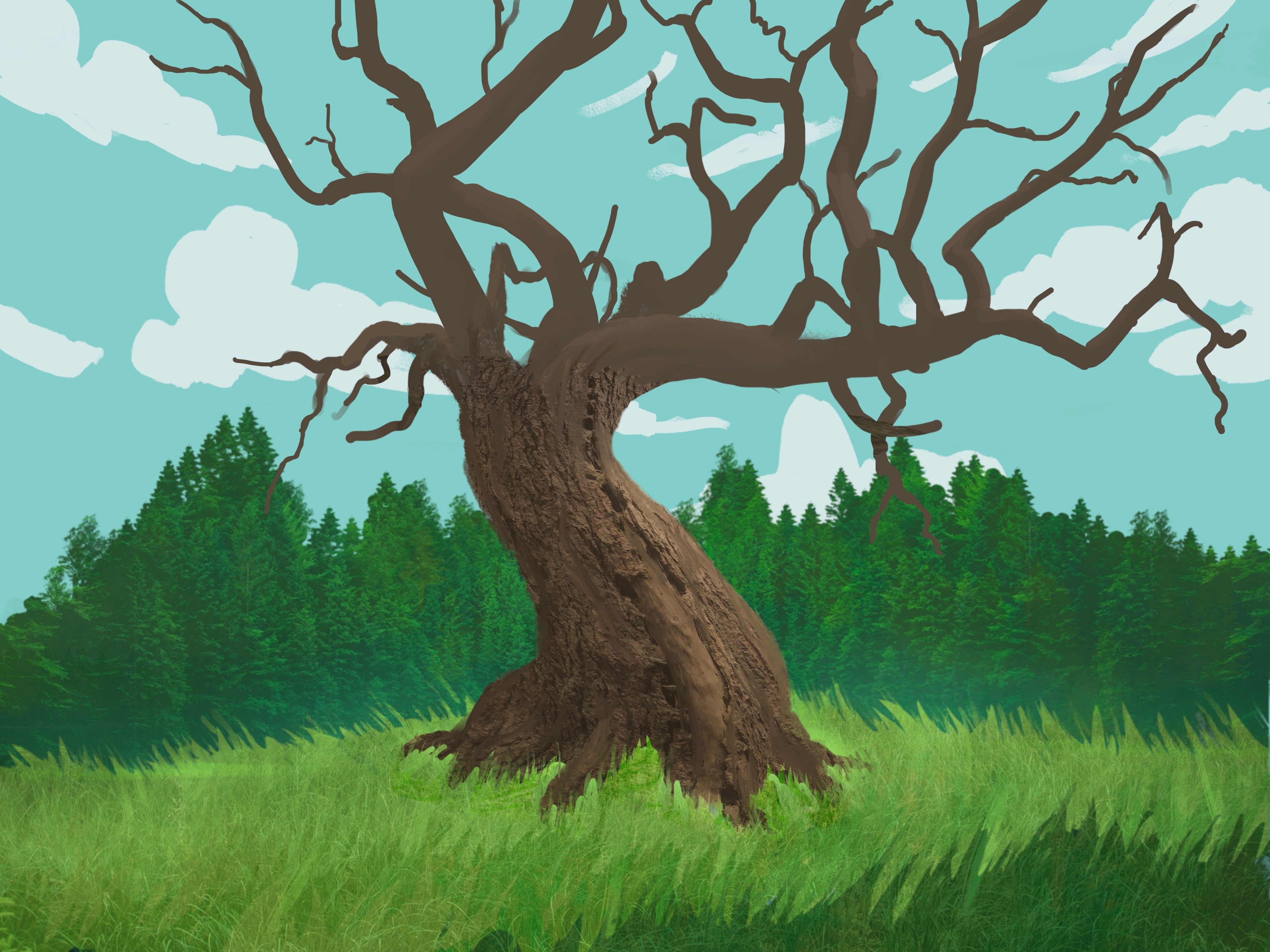 Formation Procreate par Cem